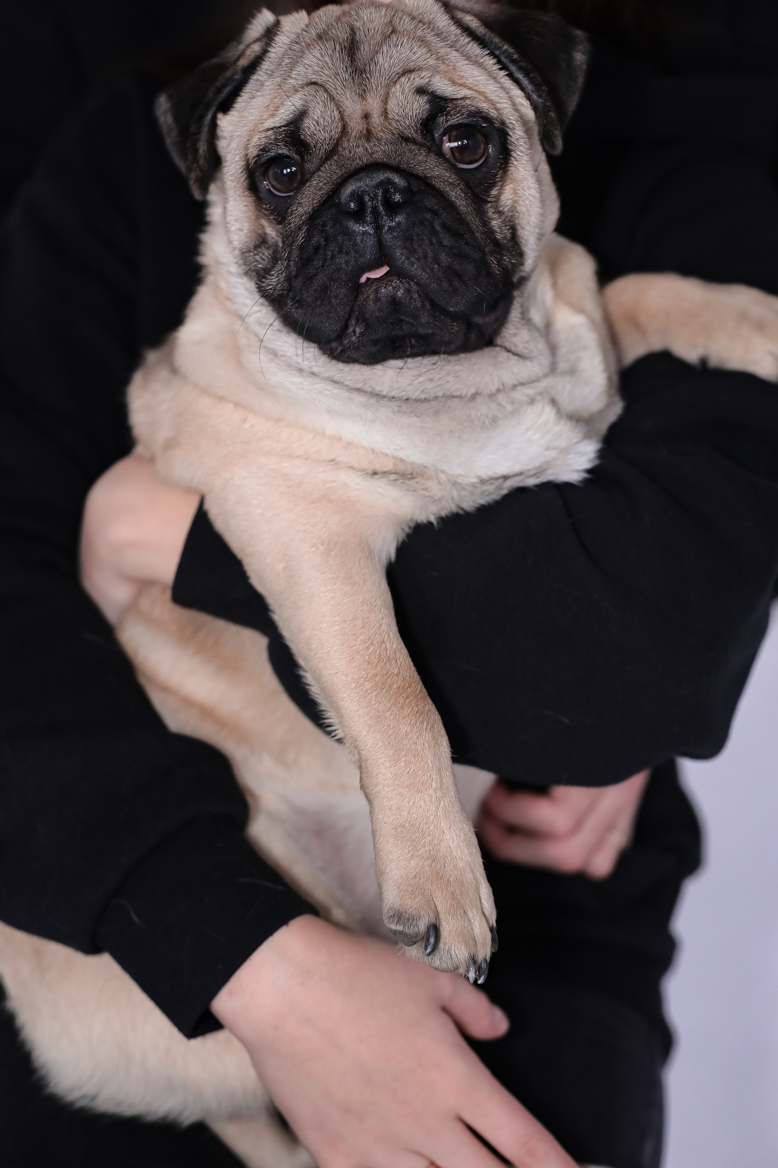 LOVE-STORY (Съемка влюбленных). Фотограф г. Хабаровск. Семейные и индивидуальные съёмки