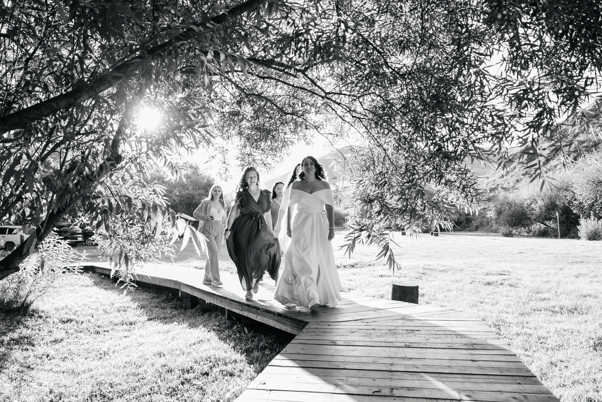 Дмитрий и Анна. Свадебный фотограф