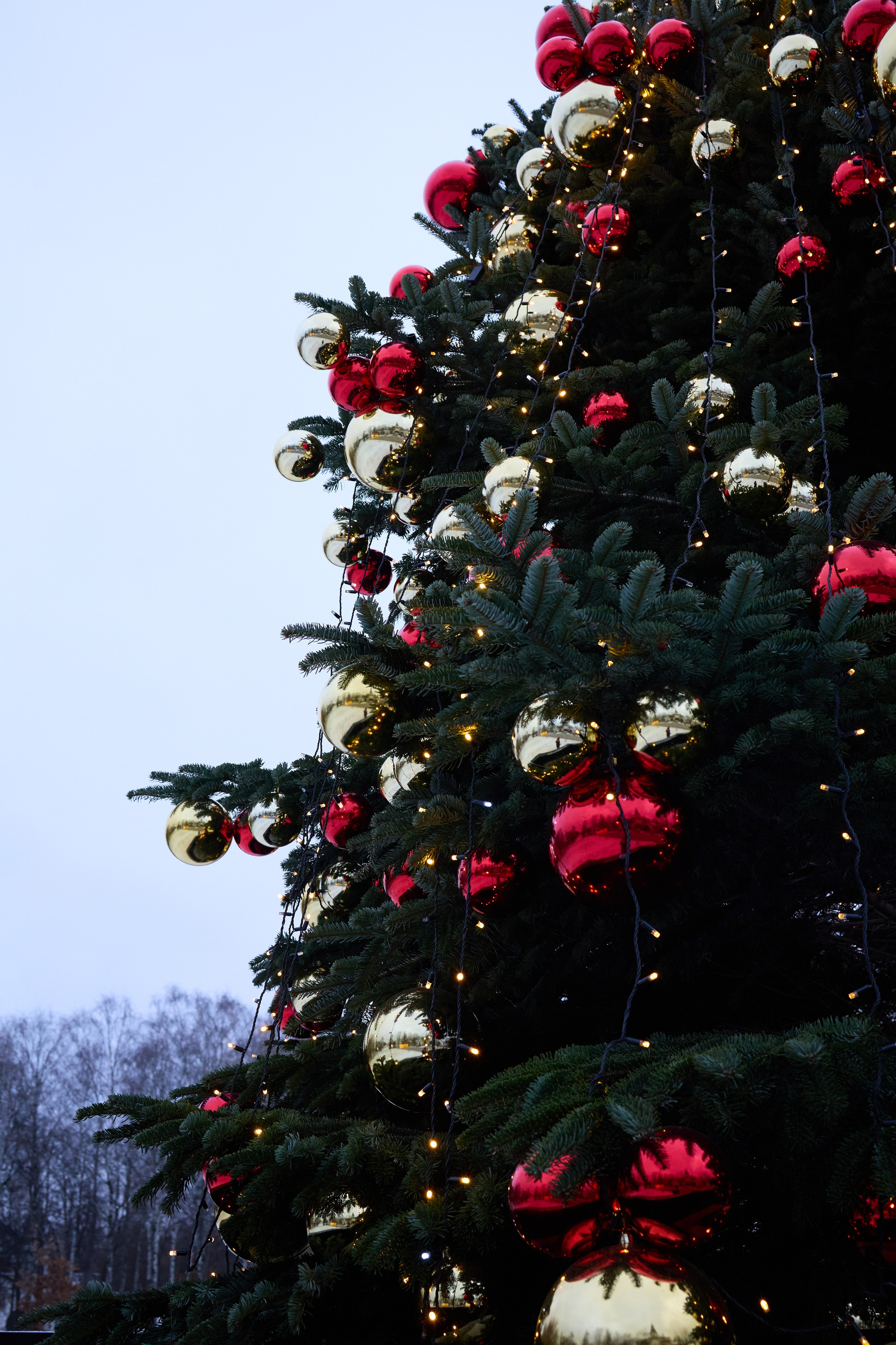 Esthetic. Фотограф Москва / TASIA_ZHUKOVA Photographer Moscow