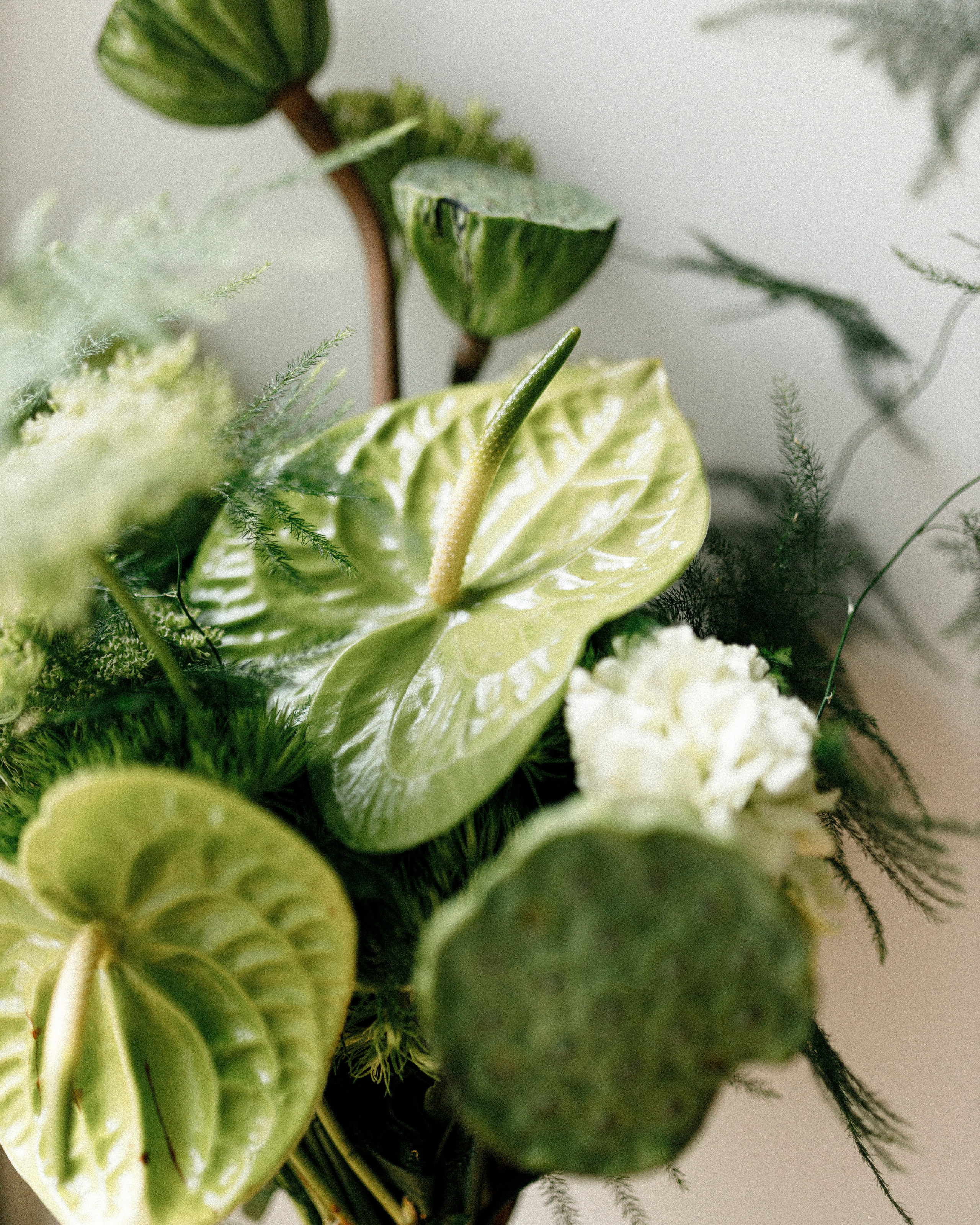 Свадебный и портретный фотограф в Москве Анна Плавская