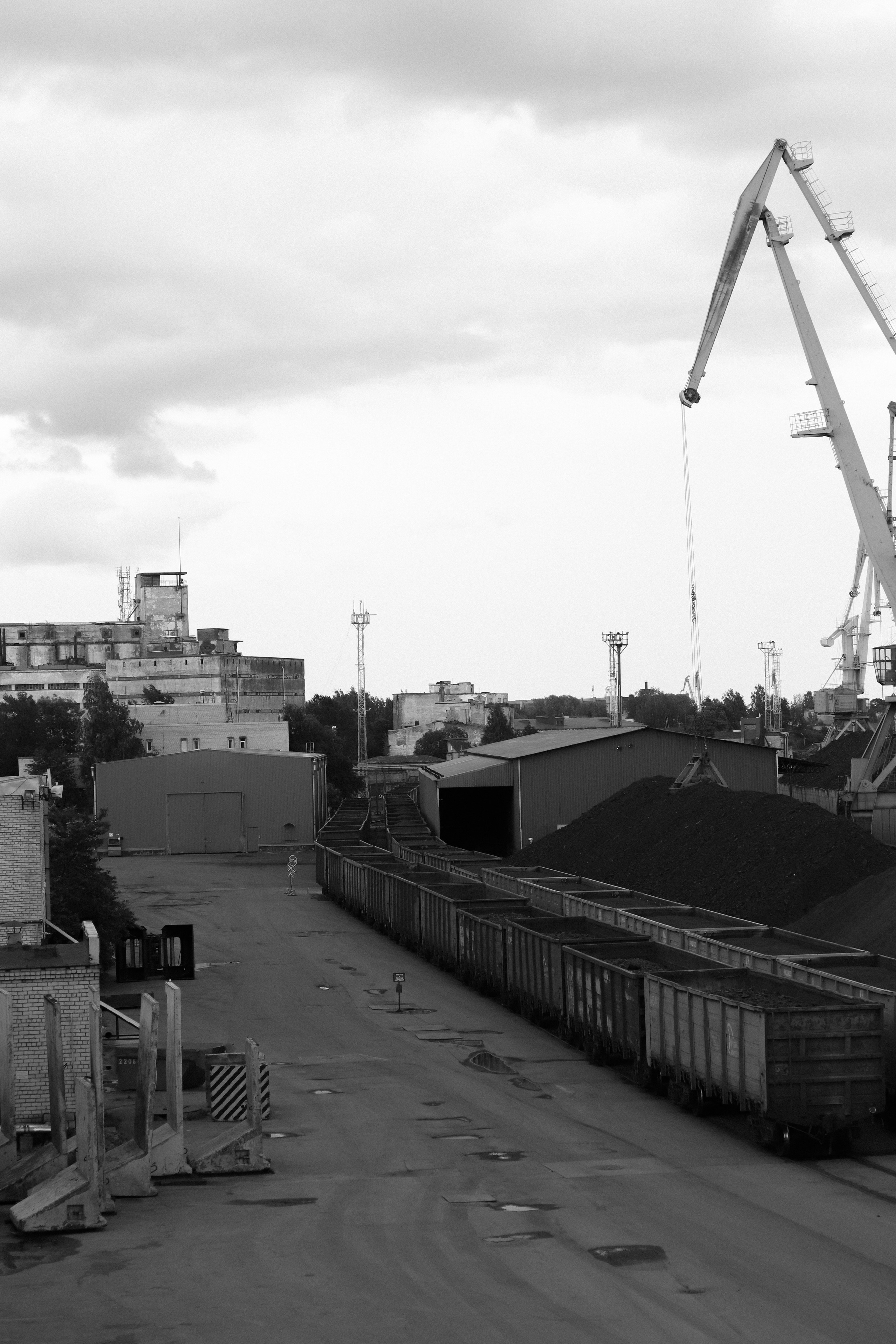 Contour. Фотограф и исследователь фотографии из Санкт-Петербурга Елизавета Веприцкая