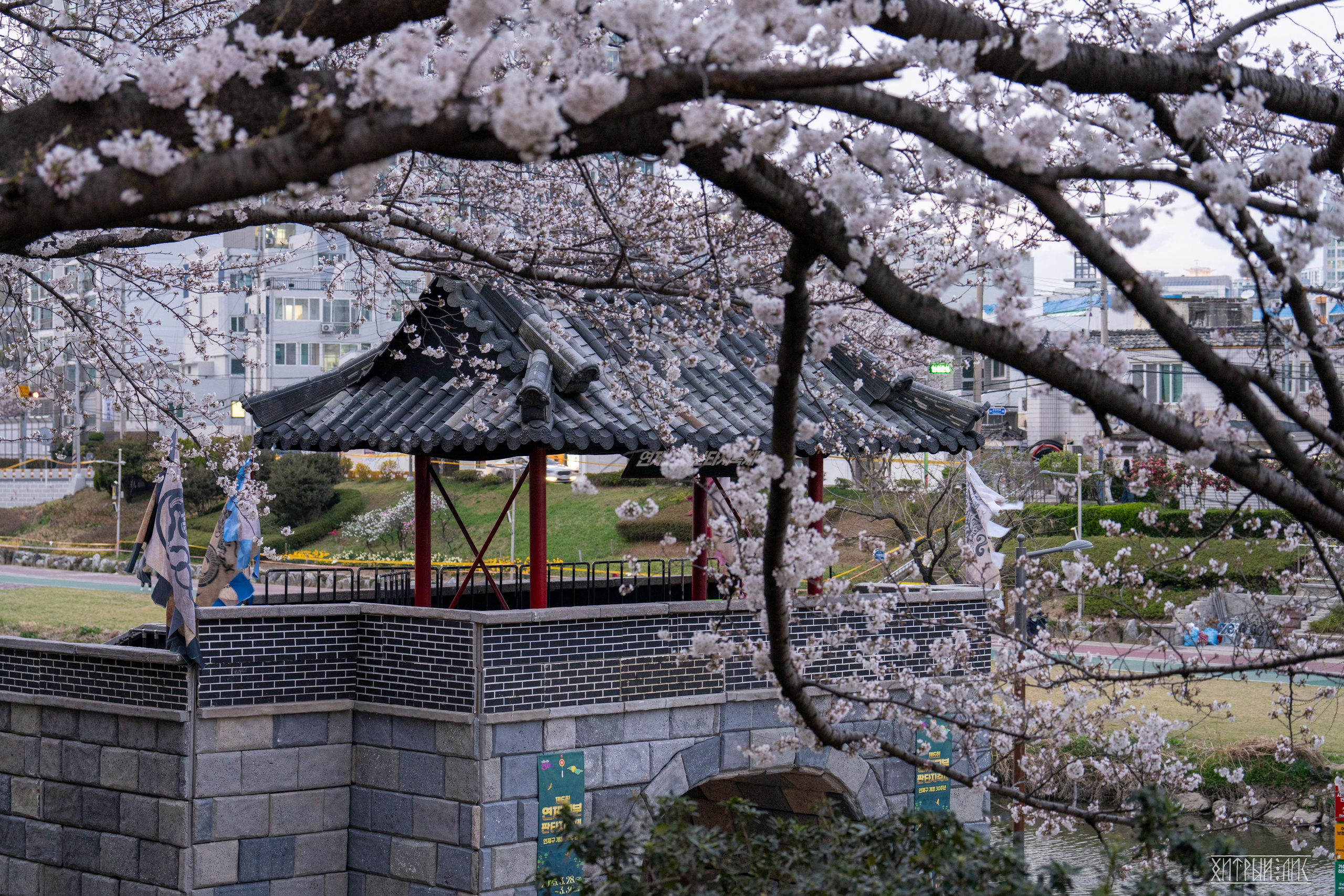 Южная Корея. Фотограф-путешественник Самойлов Максим «Sly Fox»