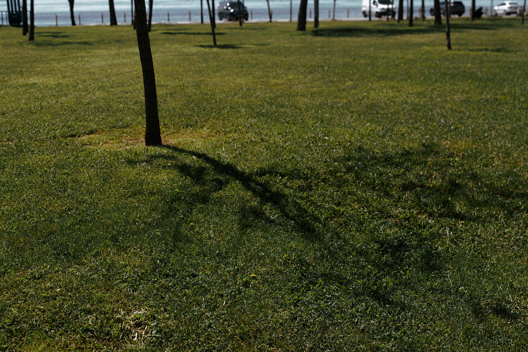 Улица горизонтальная. Jorgis — фотограф в Хургаде / обучение фотографии