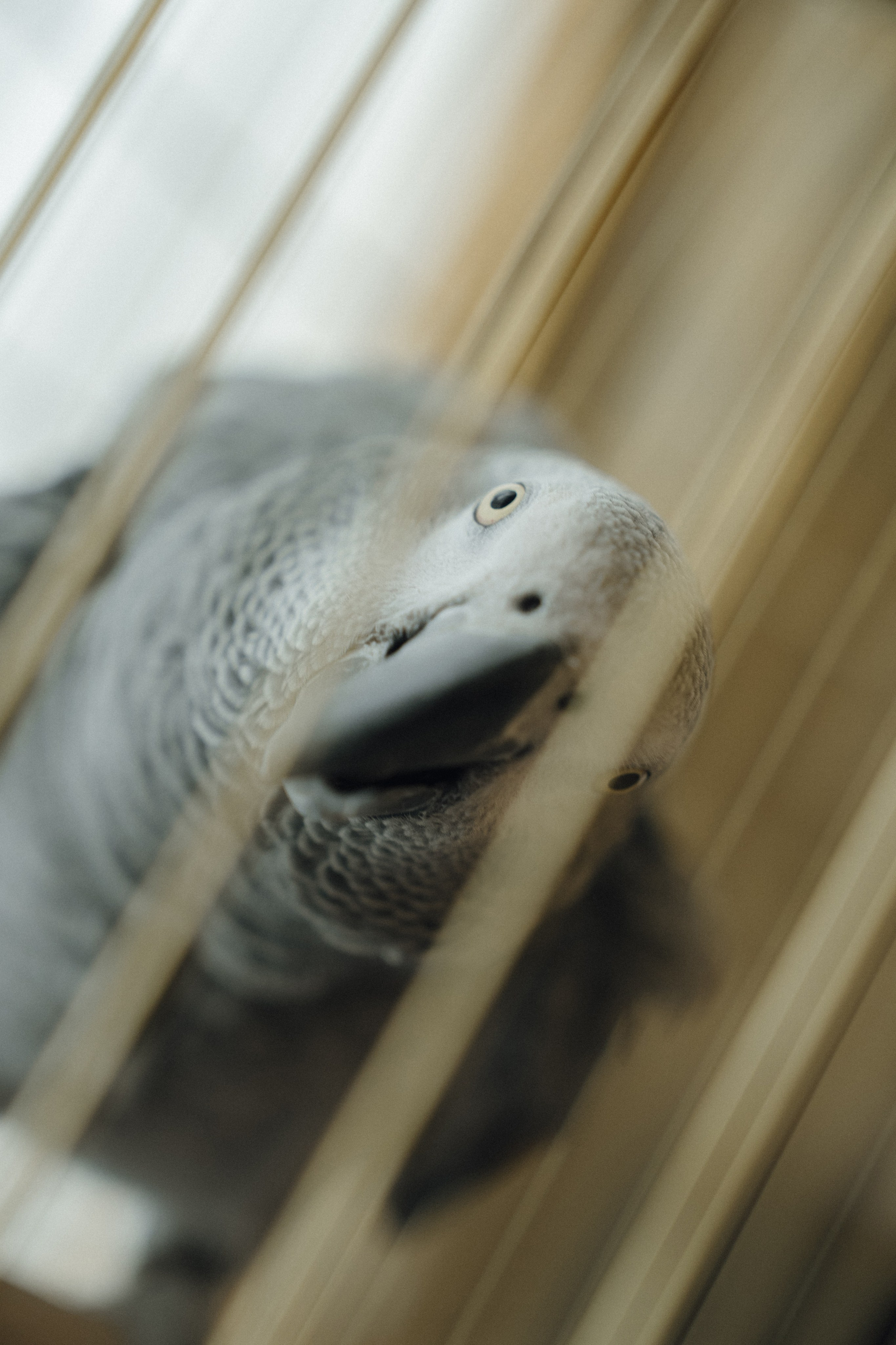 Илья и Алена. Свадебный фотограф Михаил Мирзоян