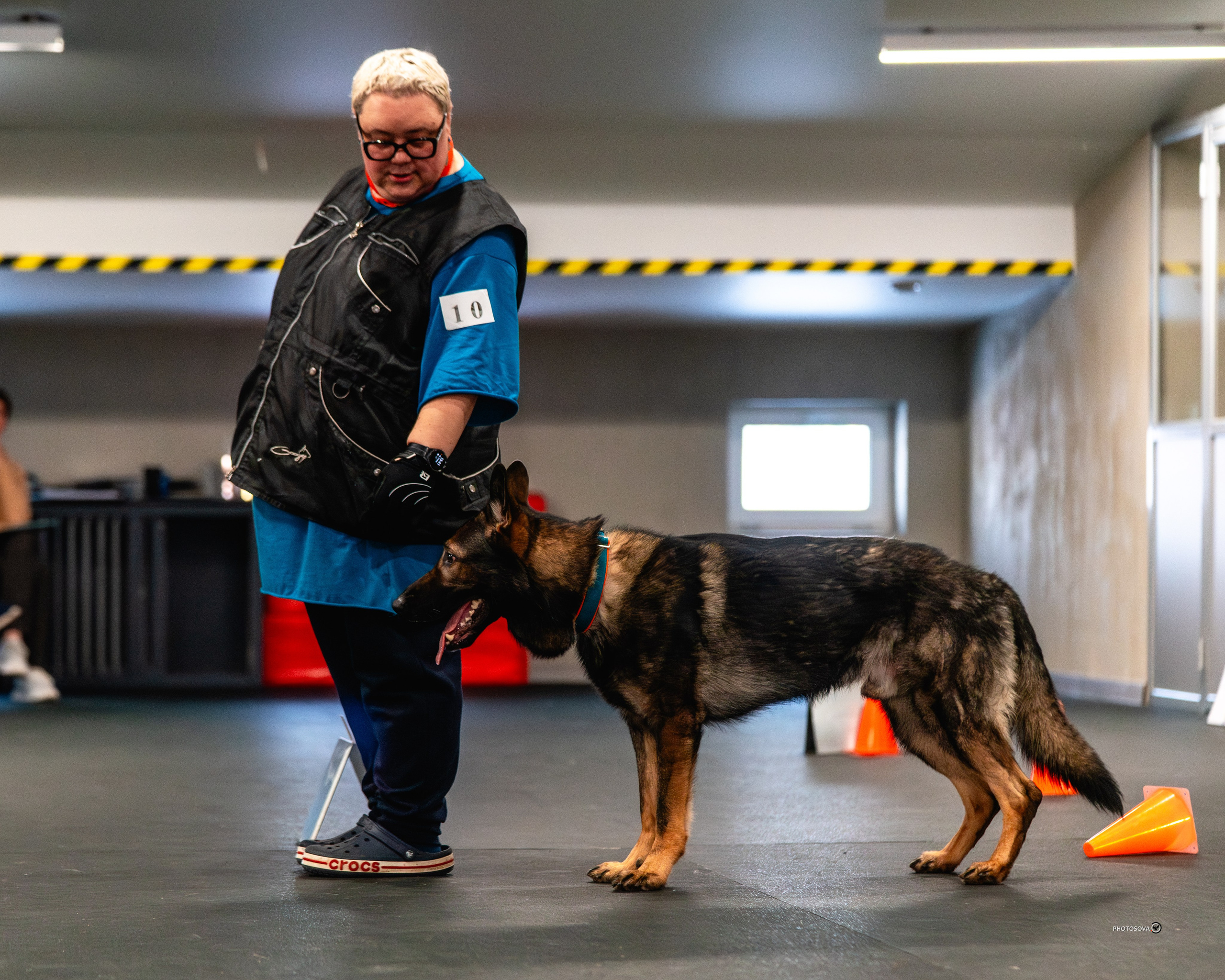 ТЫ И Я (соревнования по ралли-обидиенс). Фотограф-анималист, семейный фотограф в Москве и Подмосковье. Фотосъёмка кинологических дисциплин