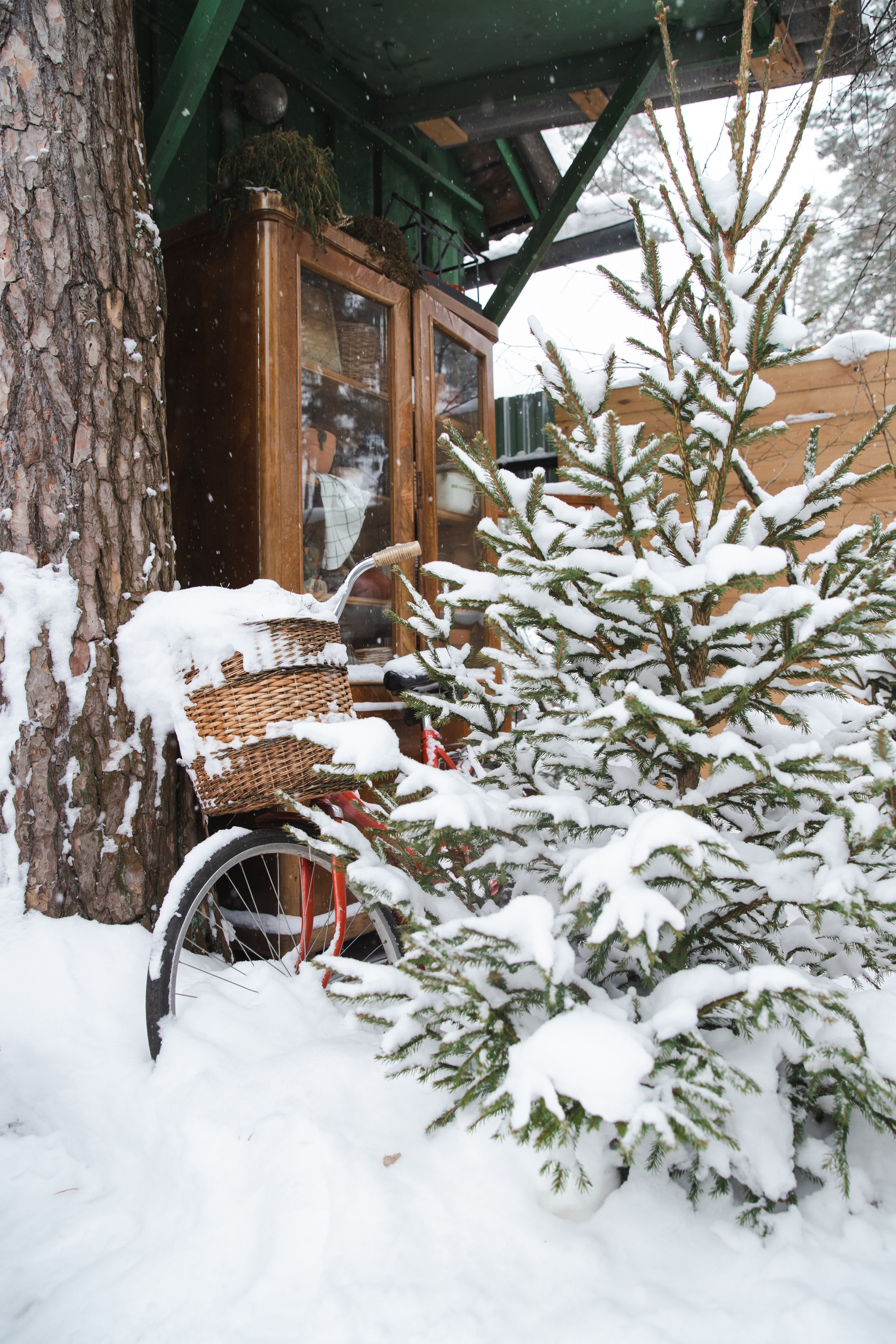 Зима на дачке. Женский и семейный фотограф в Туле Катя Вуколова