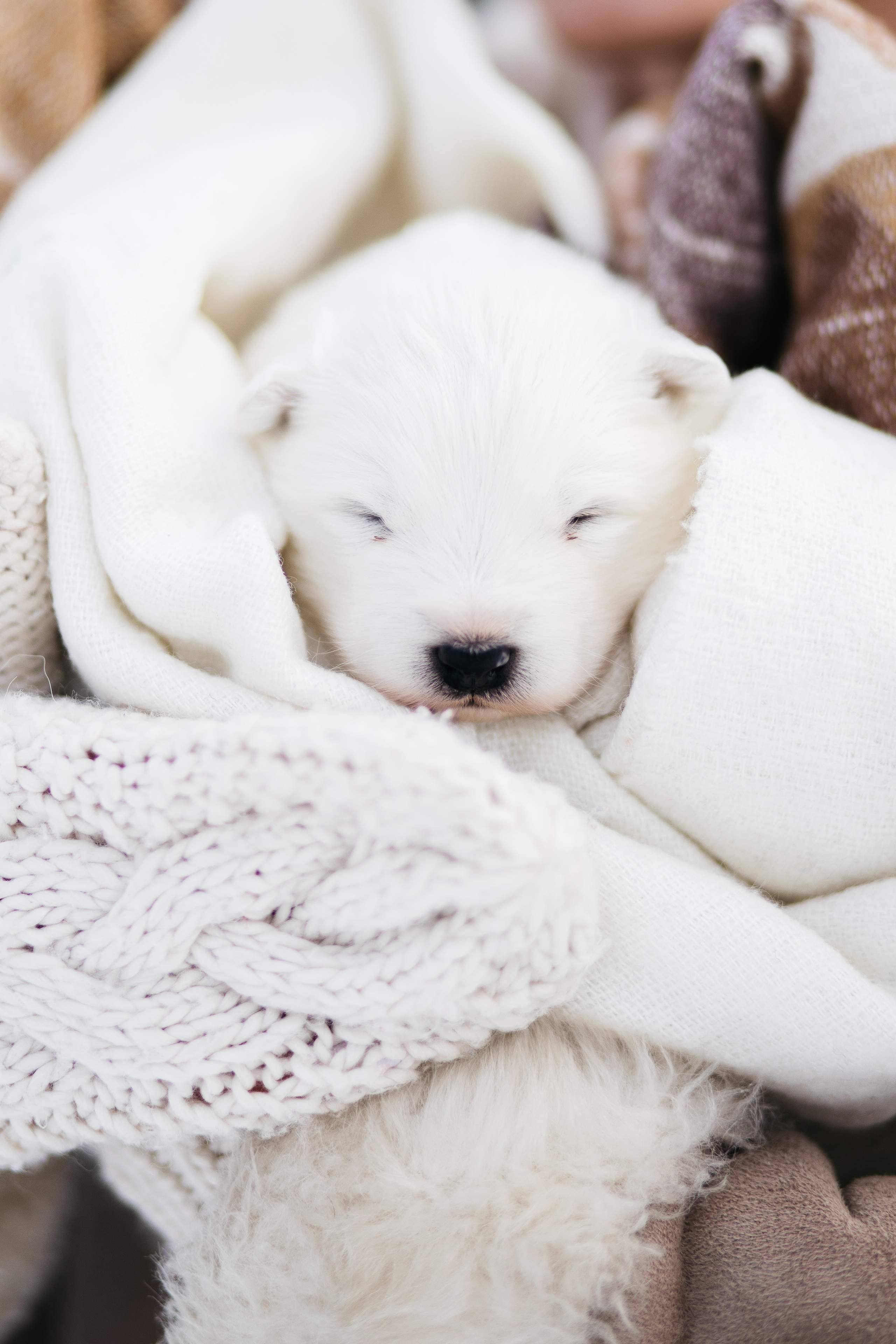 Где-то на белом свете. Женский и семейный фотограф в Туле Катя Вуколова