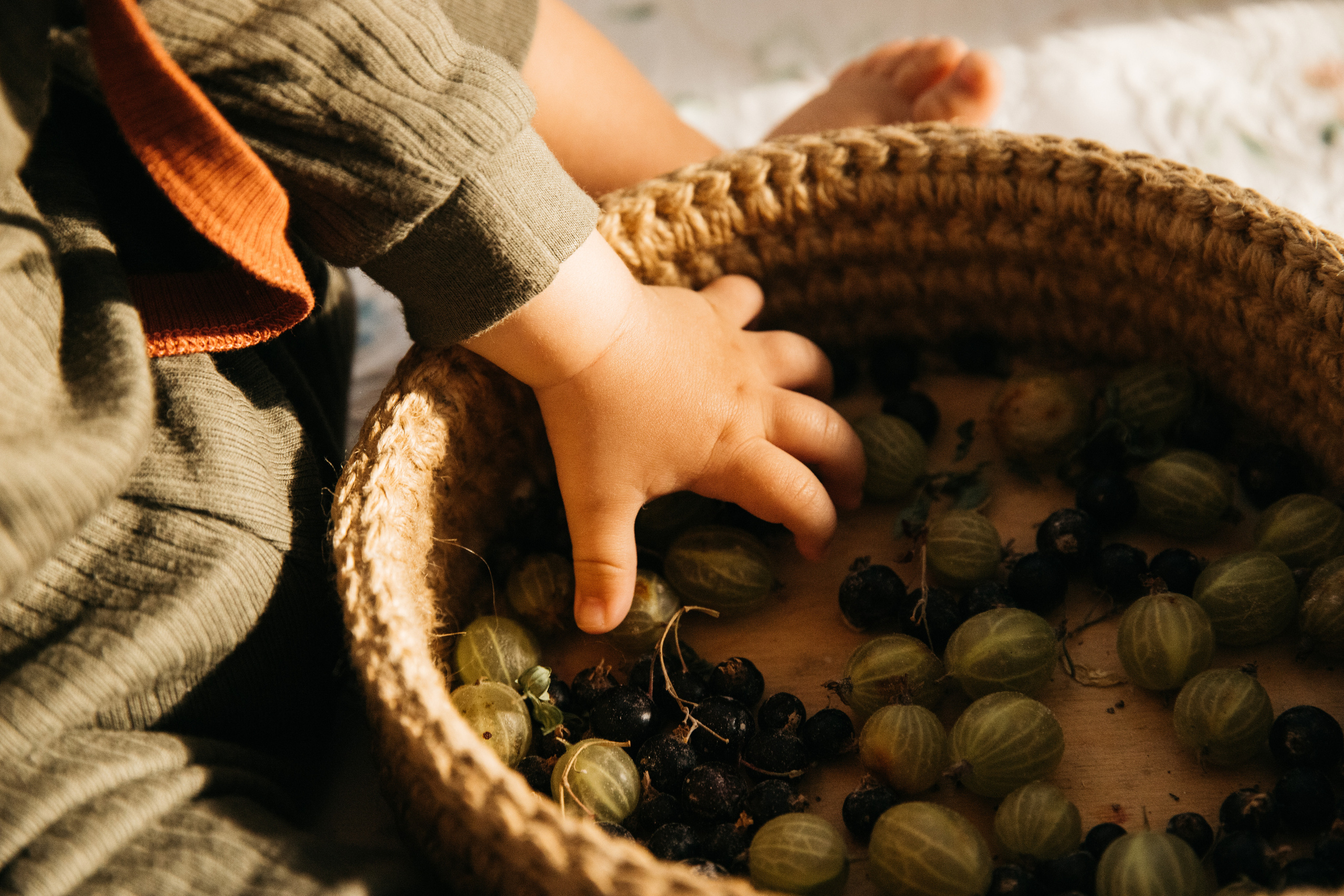 Яблочный август. Женский и семейный фотограф в Туле Катя Вуколова