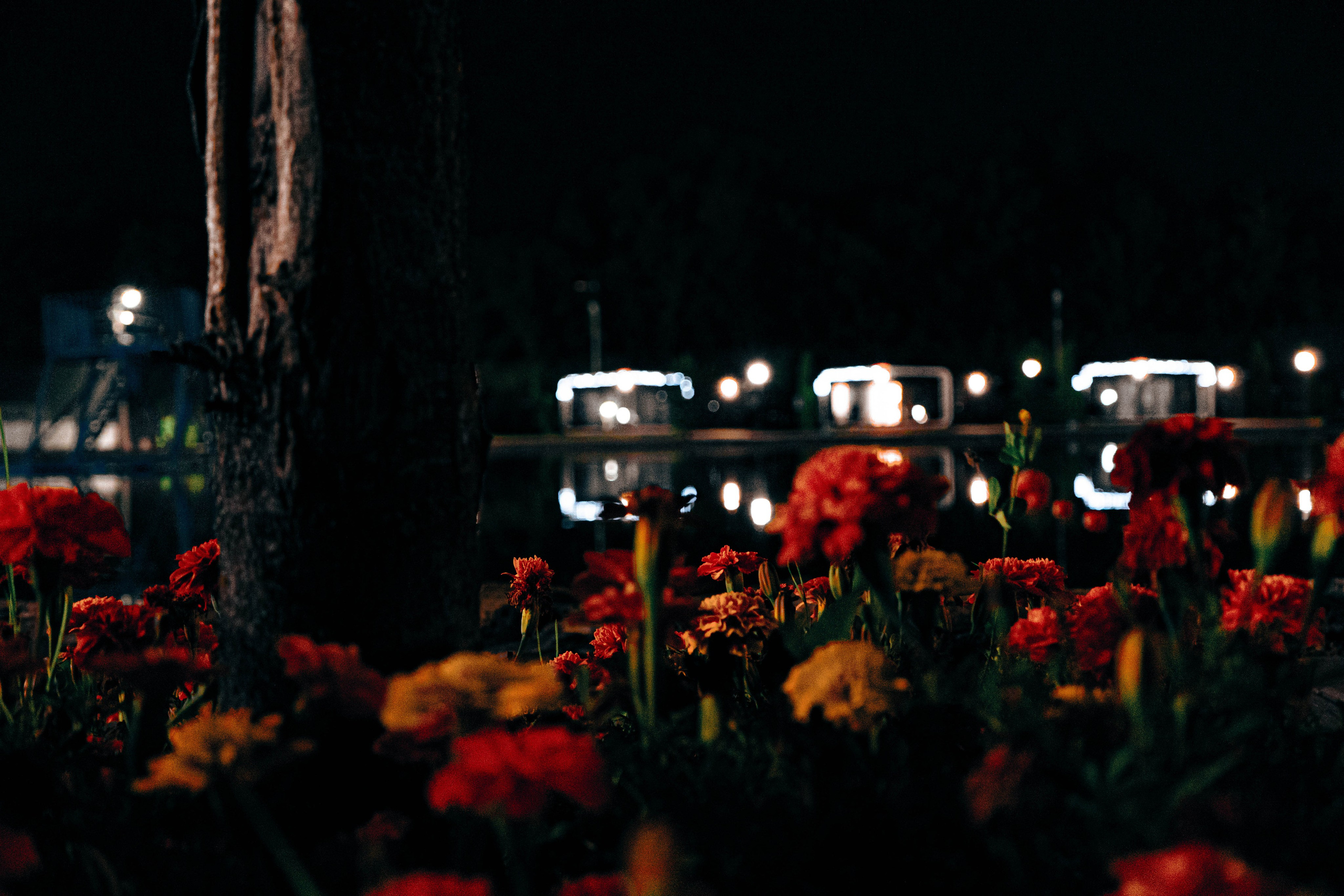 Архитектура и природа. Главная