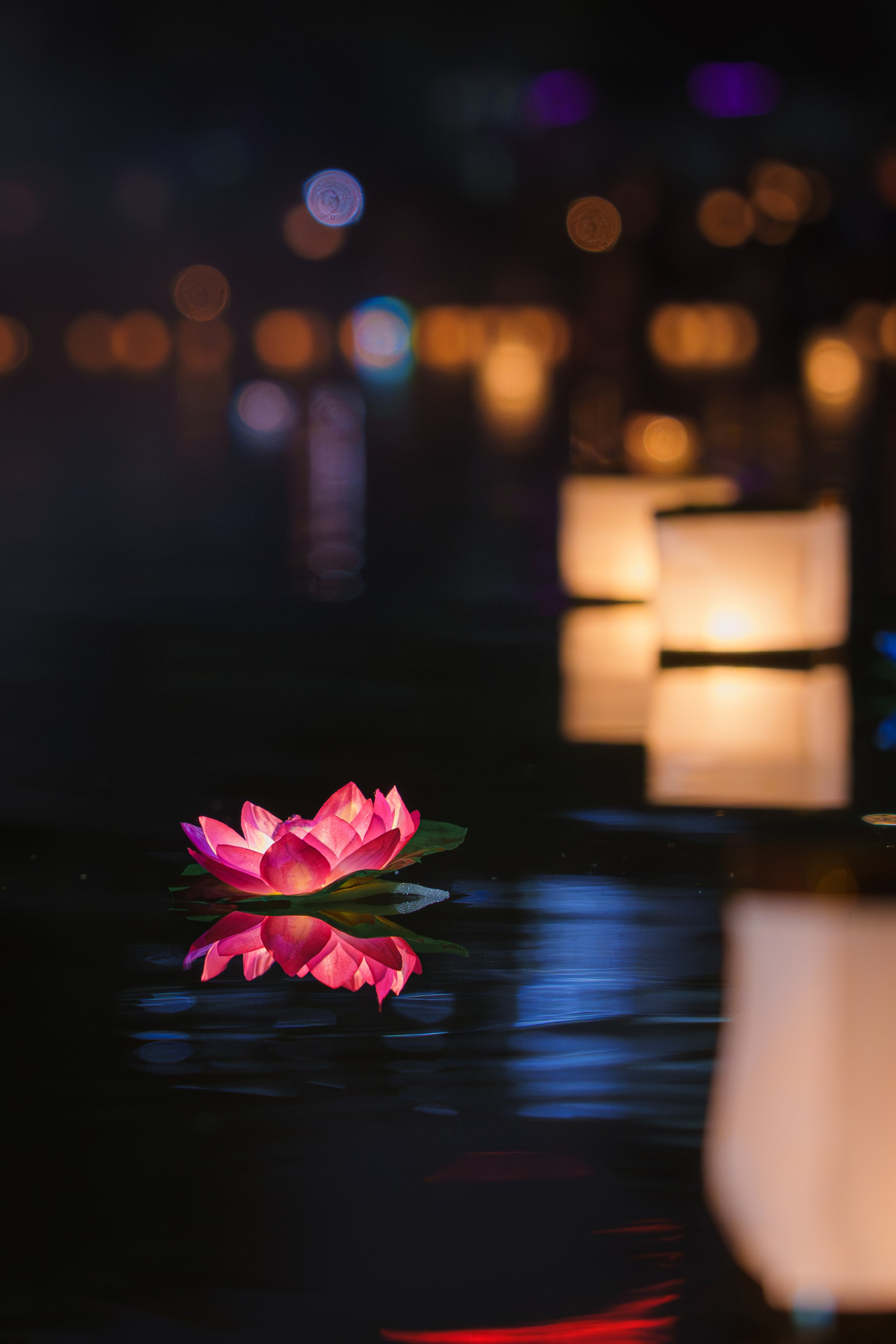 Фото-прогулка. Пенкин Александр