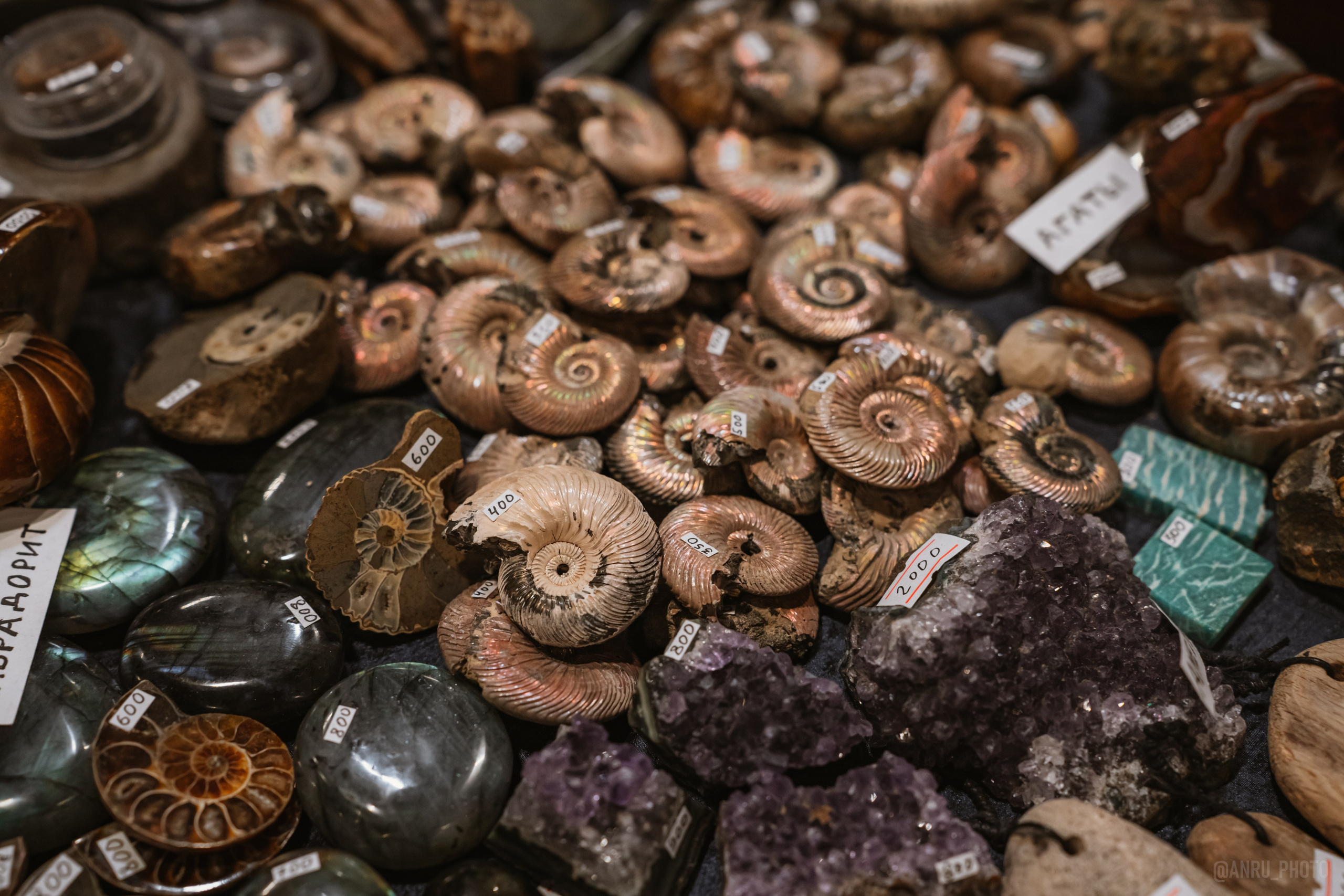 Рептилиум (ручная работа). Репортажный фотограф Анастасия Рубцова