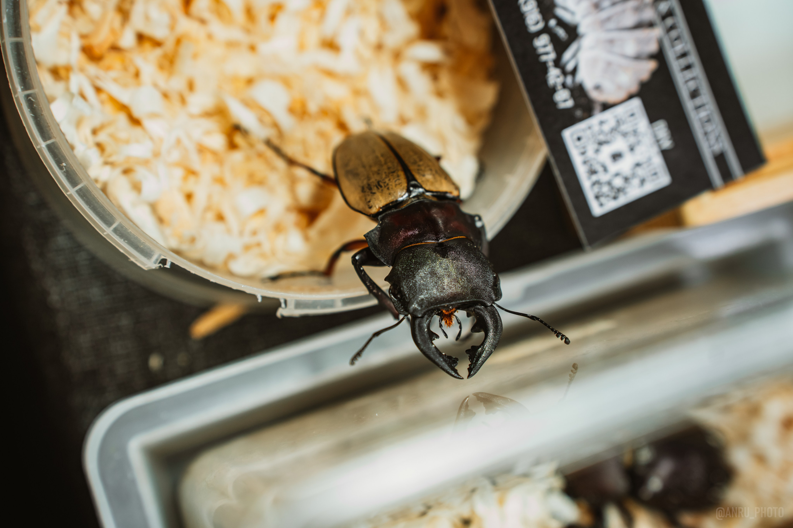 Рептилиум. Репортажный фотограф Анастасия Рубцова