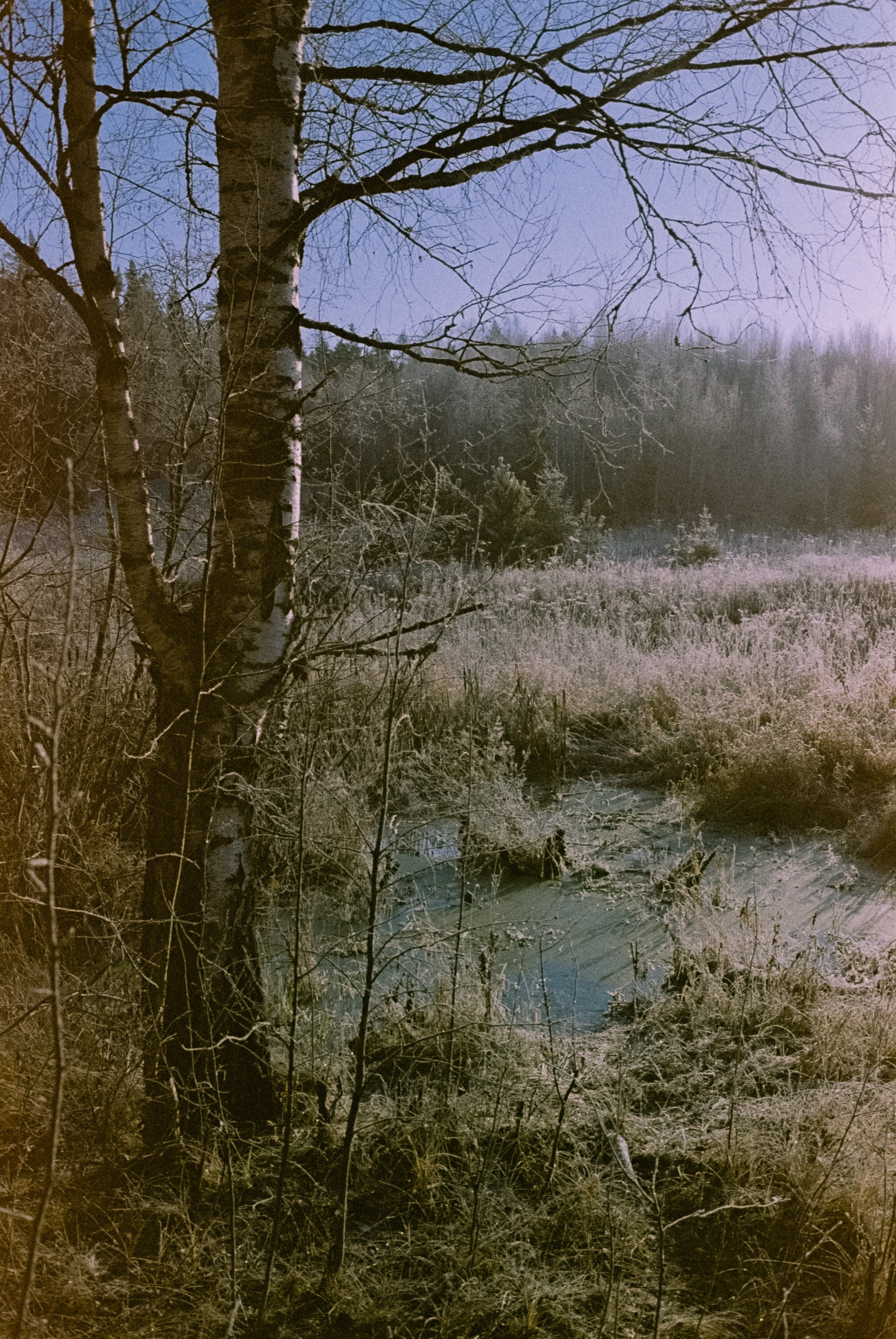 Minolta Hi-Matic 7sII / Kodak Color 200 (просрочка) / Лукино