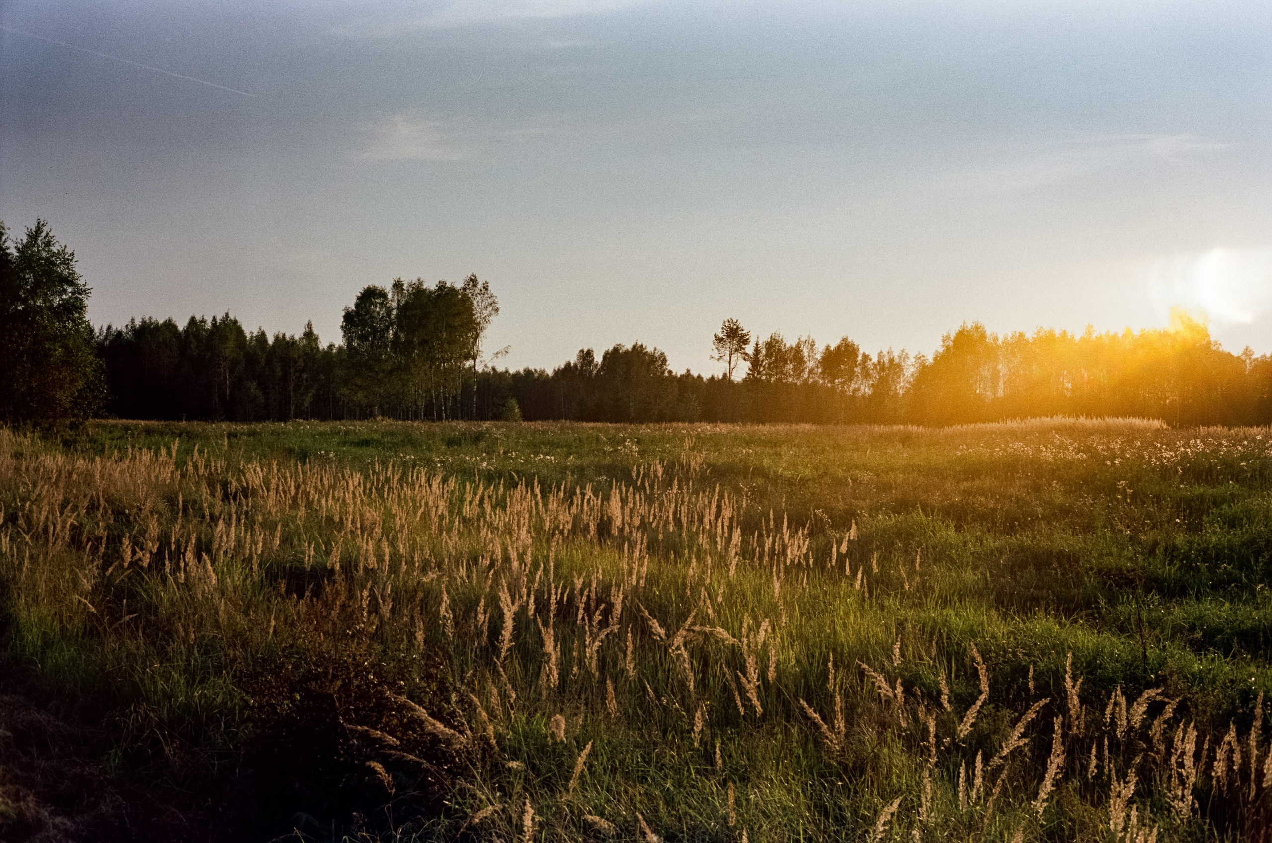 Minolta Hi-Matic 7SII примеры фотографий