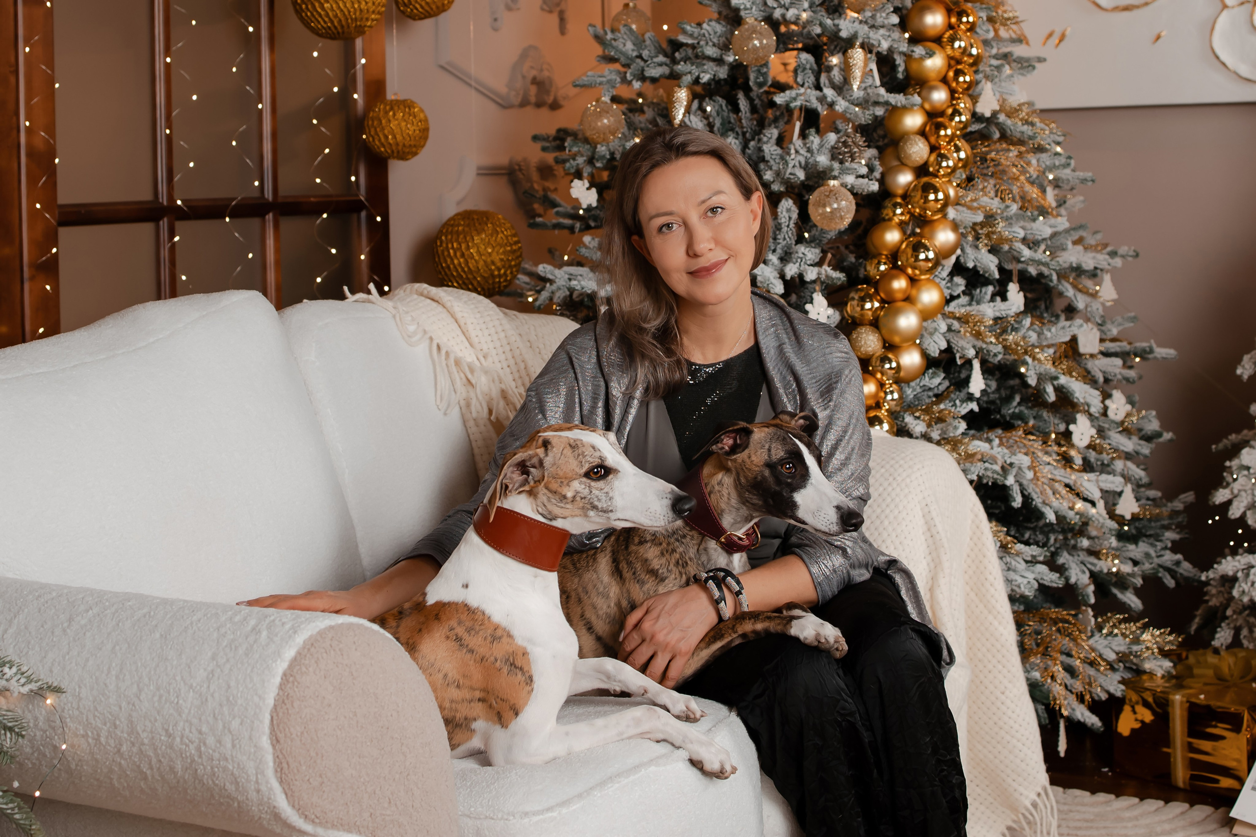 Новогодняя фотосессия уиппетов. Фотограф-анималист в Краснодаре Маша Мельникова