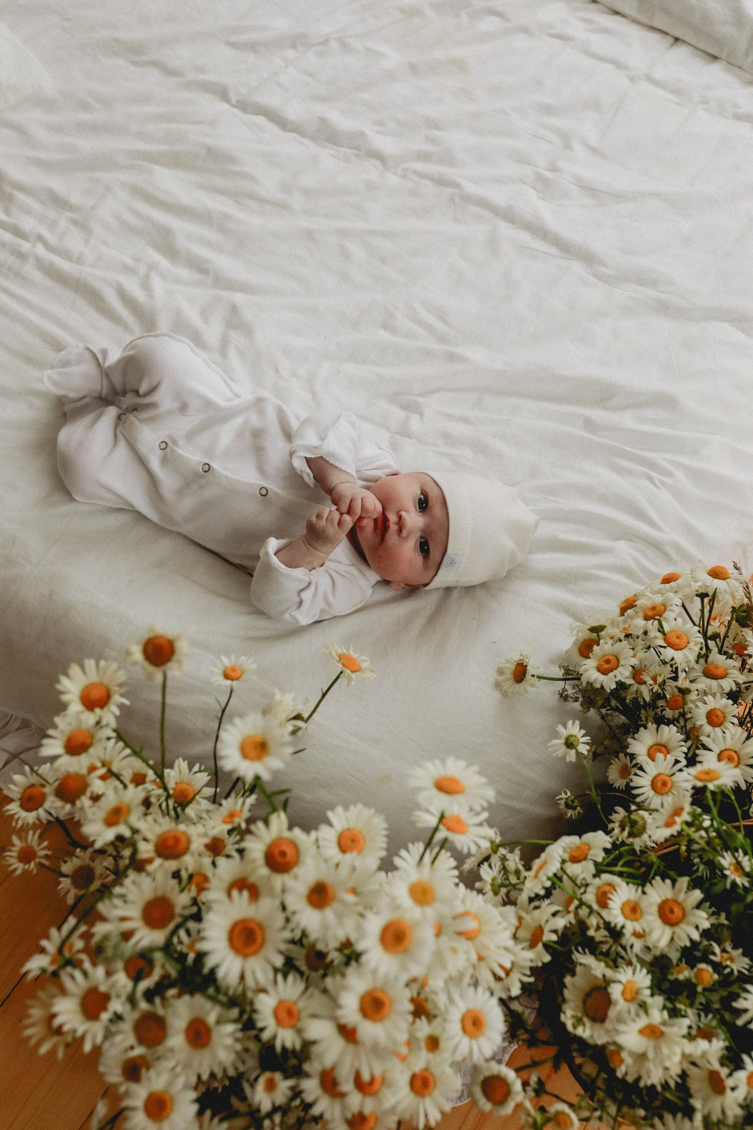 Дочки-матери