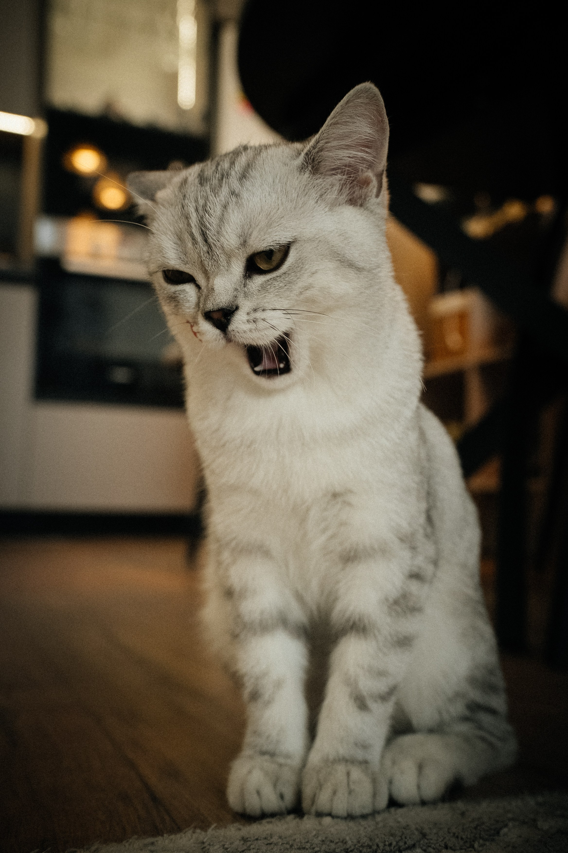 Семья Ксении и Максима. Фотограф | Юлия Арт| Обучение