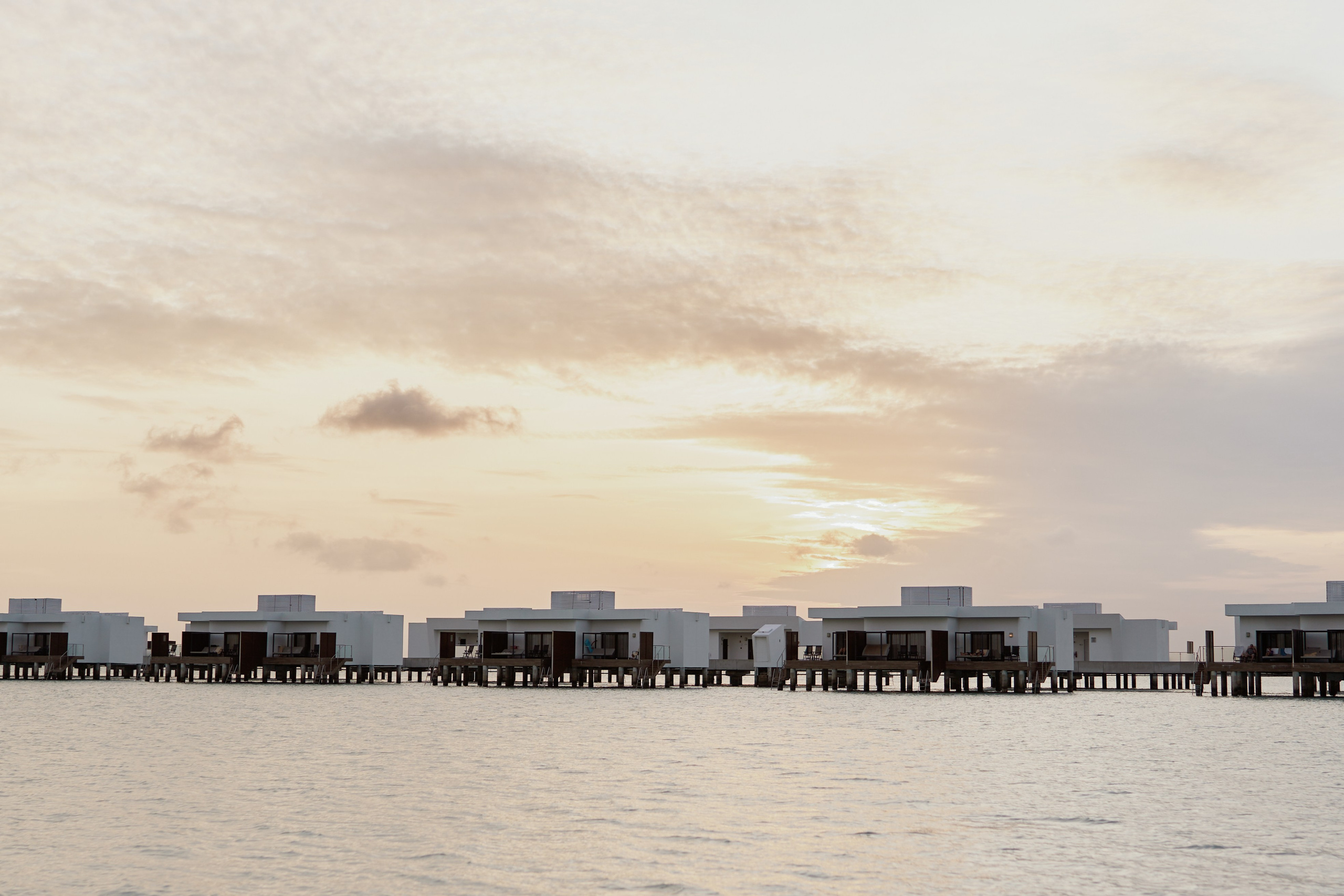 Сергей и Светлана. Свадебный и семейный фотограф в Санкт-Петербурге Дмитрий Панин