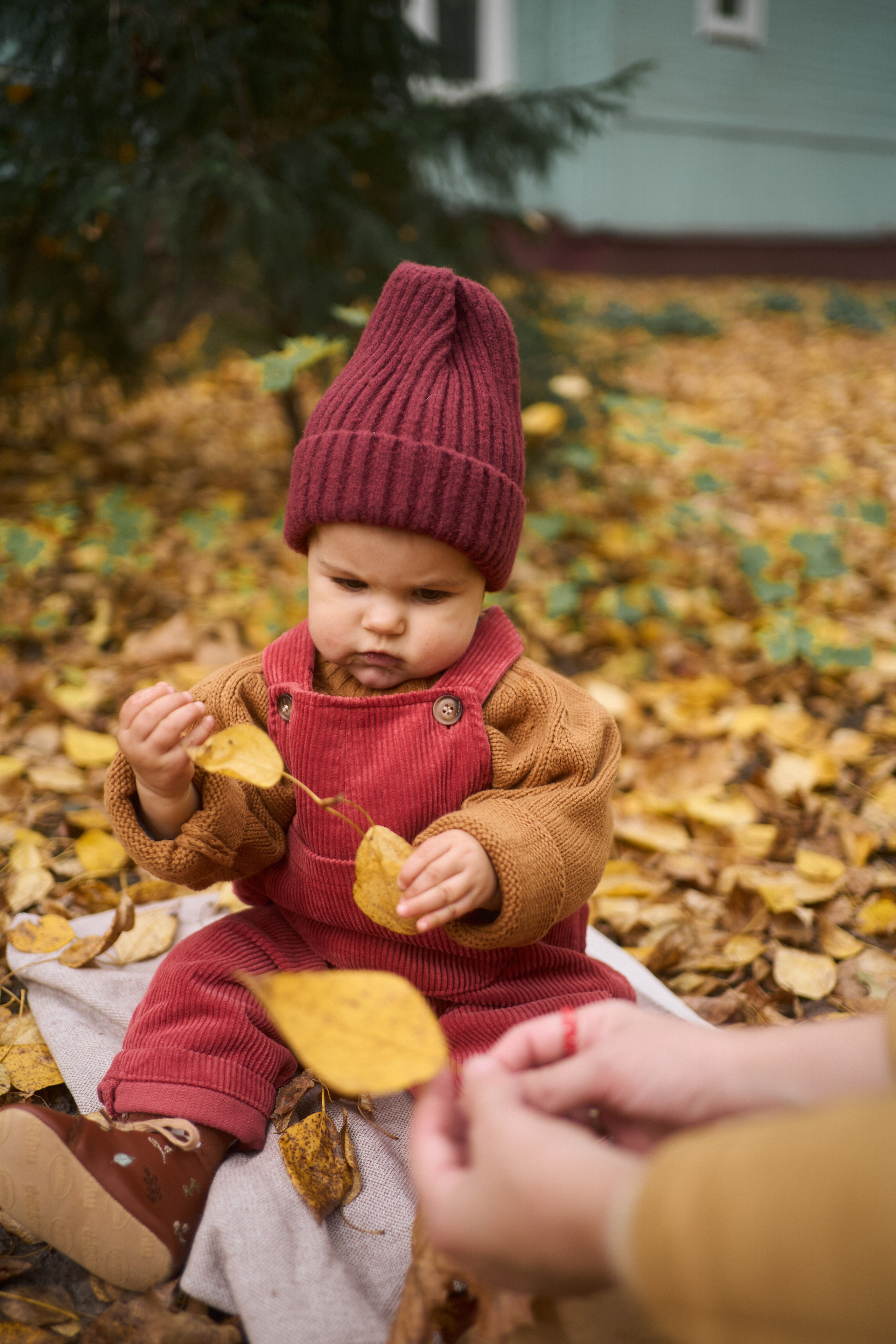 Первые шаги. Фотограф анималист Москва Дарья