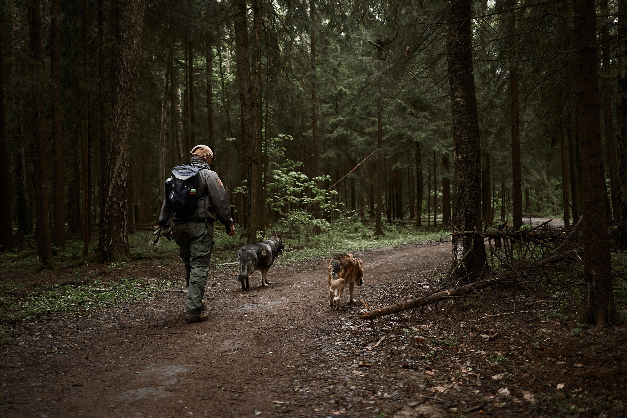 Дима, Рыжий и Воля. Фотограф анималист Москва Дарья