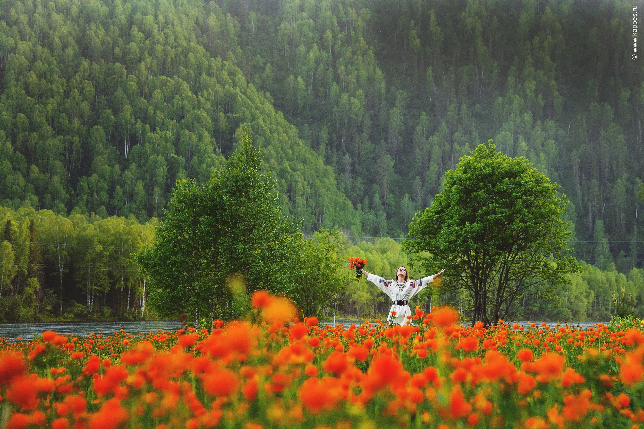 Индивидуальный фотограф на Алтае: фотосессии в горах и на природе. Фотограф Опыт Качество Скорость Горный Алтай Барнаул
