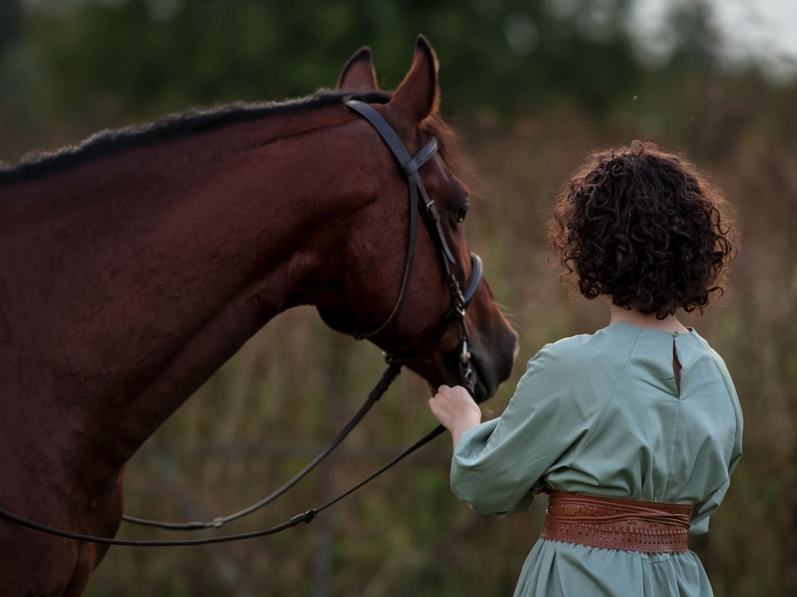 Конная фото прогулка Троицк москва