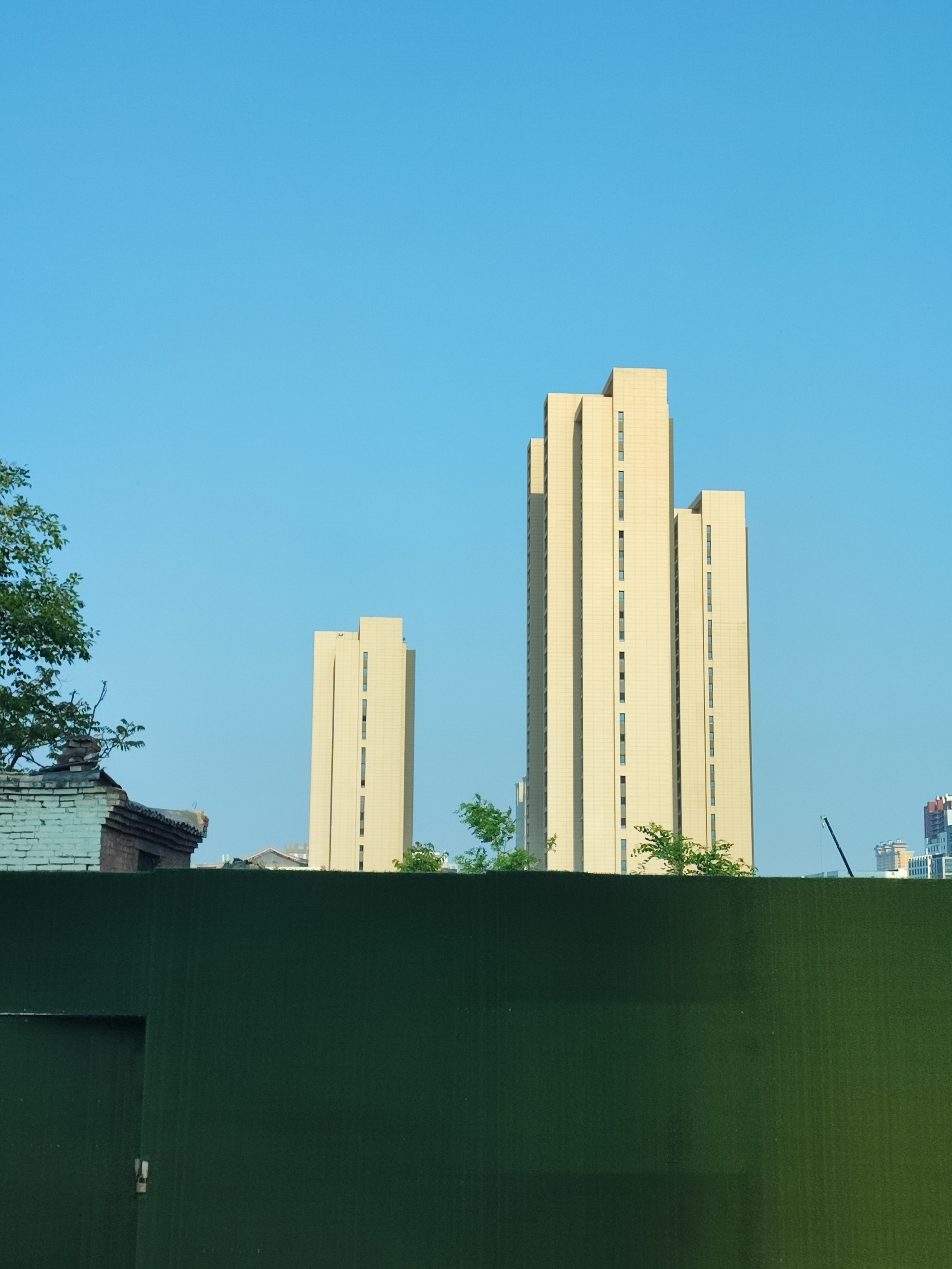 Намобилкус китайский. Репортажный фотограф Алексей Пирязев