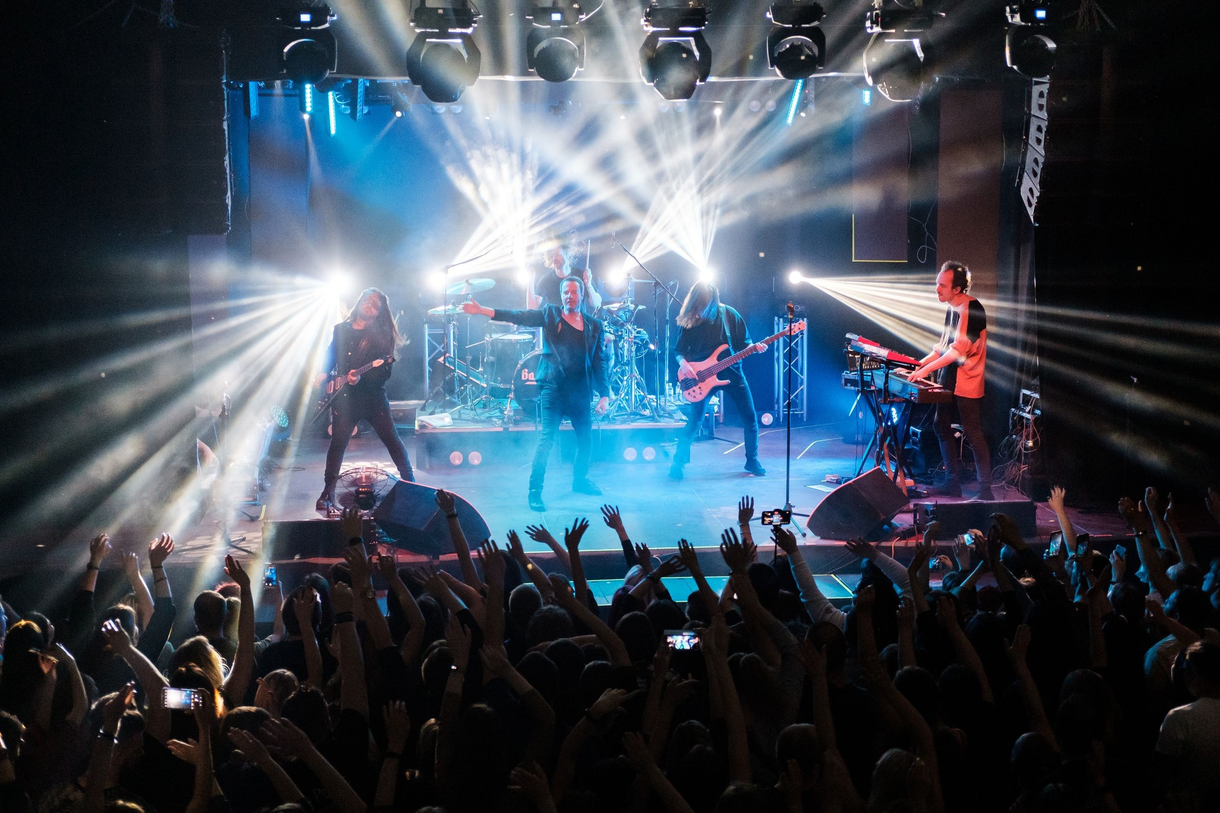 Animal ДжаZ. Репортажный фотограф Алексей Пирязев