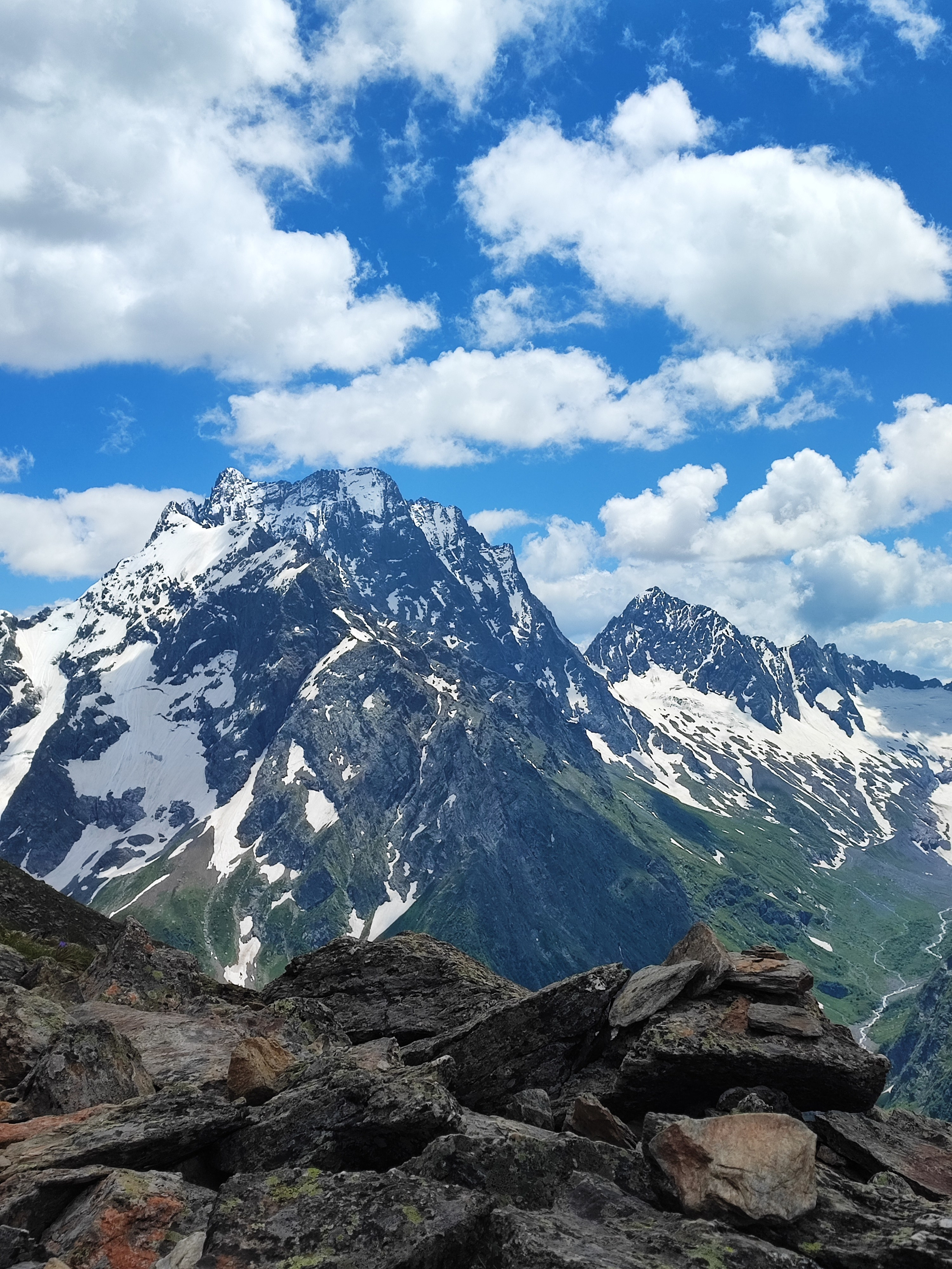 Намобилкус кавказский. Репортажный фотограф Алексей Пирязев