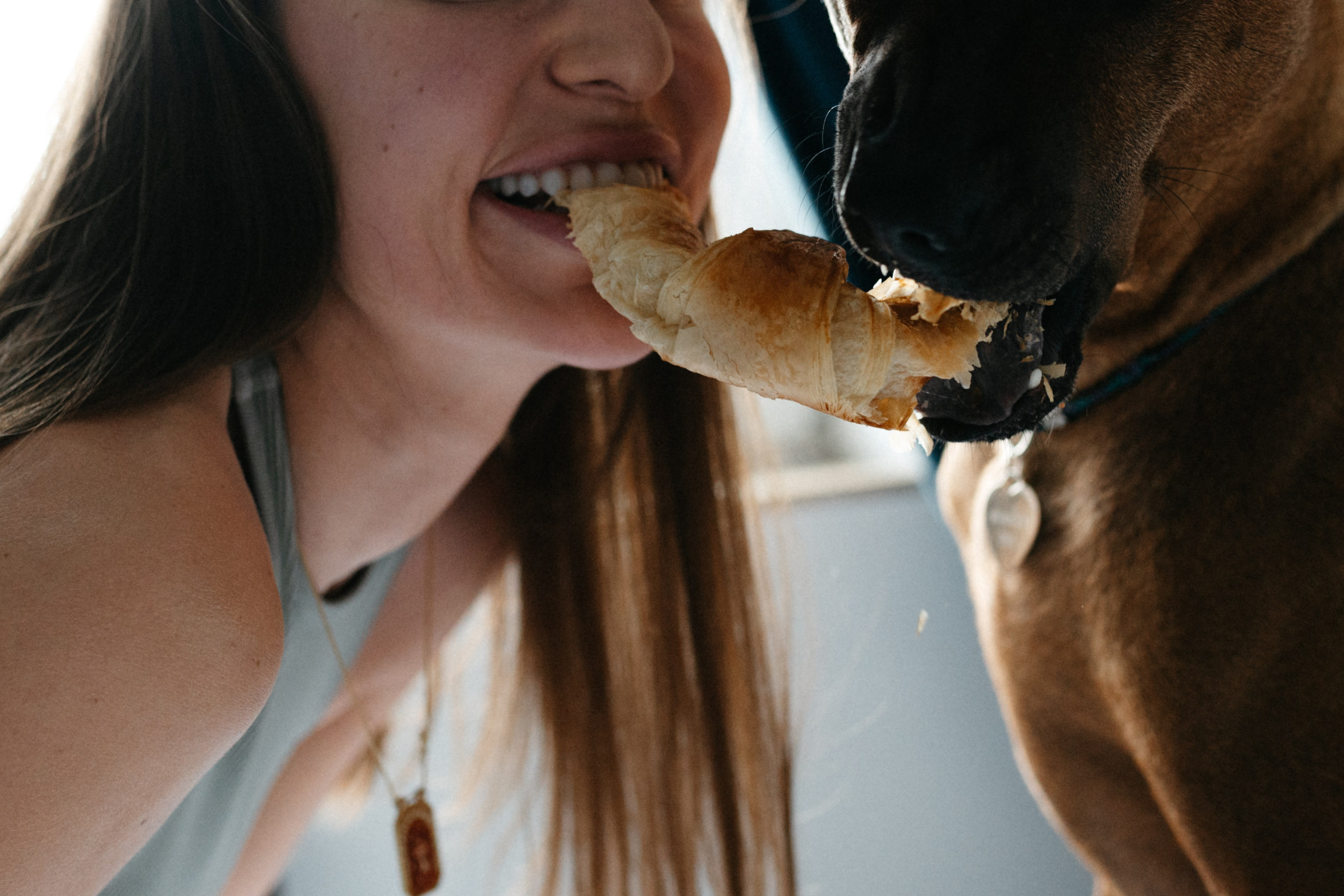 Оксана и Зевс. Фотограф анималист в Москве Ольга Агушева