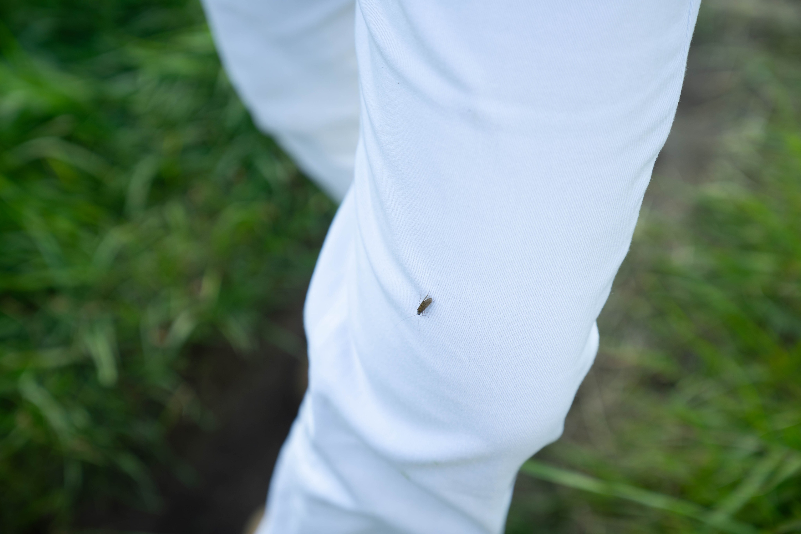 Anna. Lifestyle photographer Turku. I catch emotions in the frame