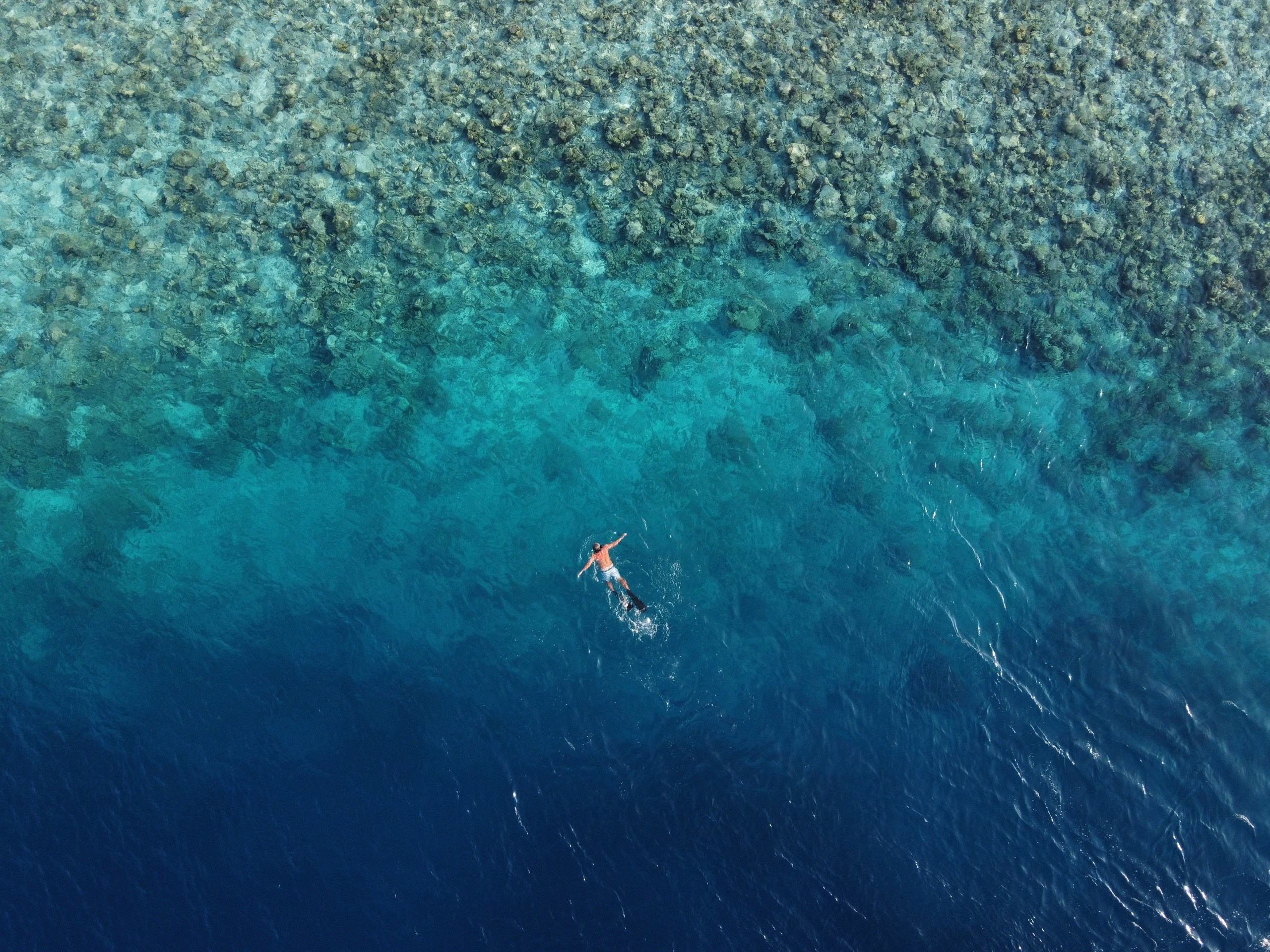 Пейзажи. Фотограф Мельник Ирина. Москва