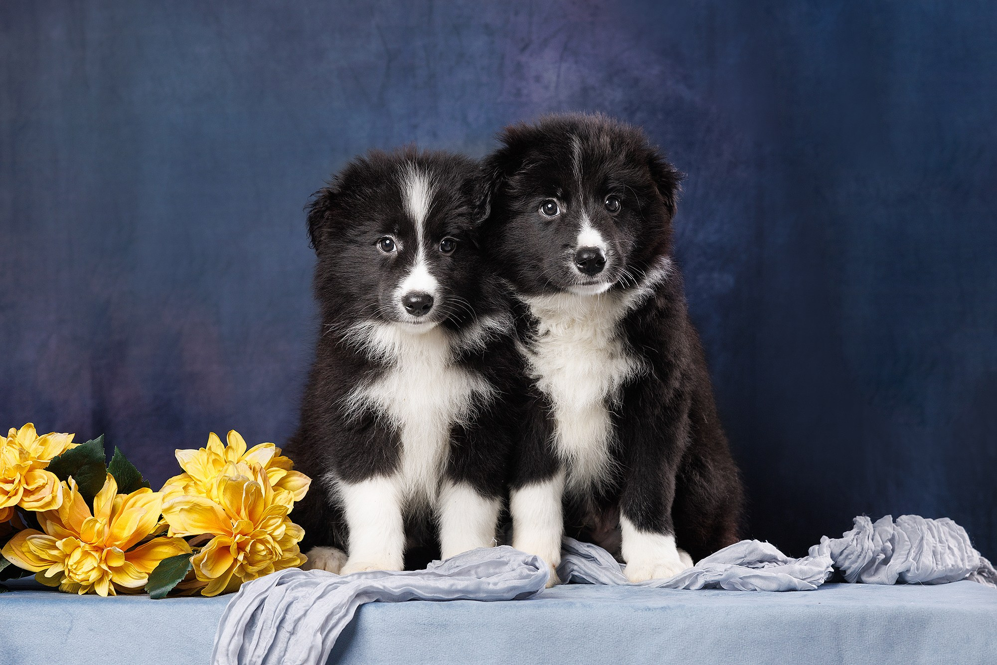 На водной основе. О нас