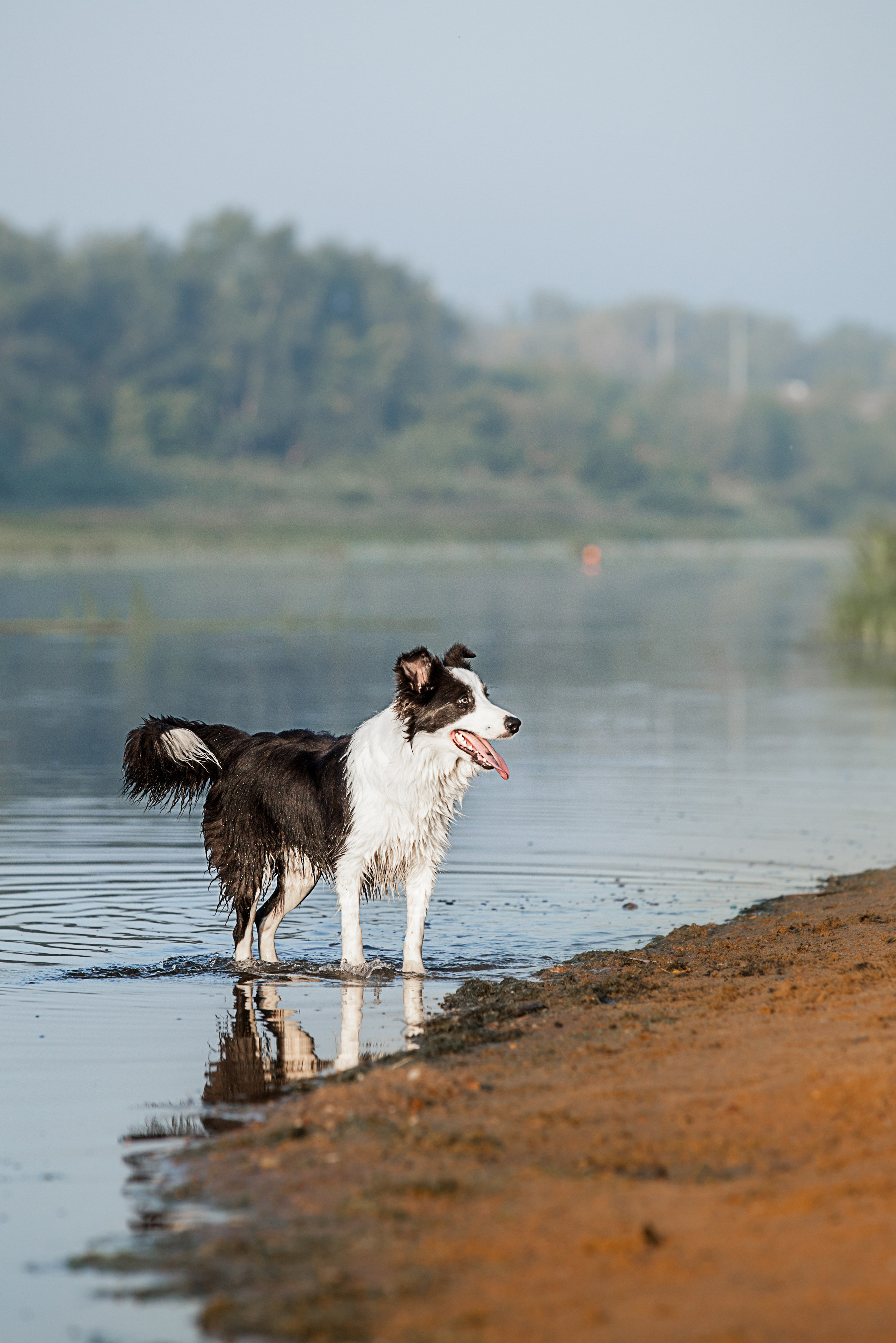 Сочный рассвет, на который решились. О нас