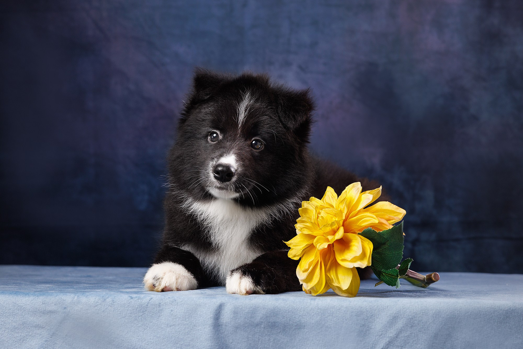 На водной основе. О нас