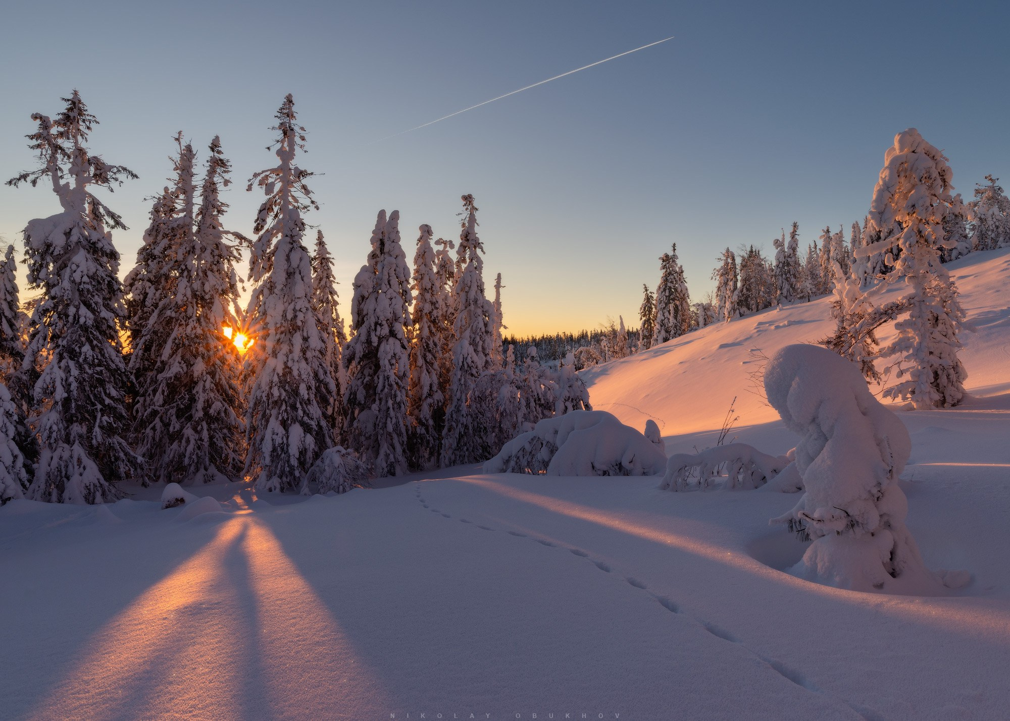 Зимний фото пейзаж высокого качества: гора Белая и деревья в снегу.