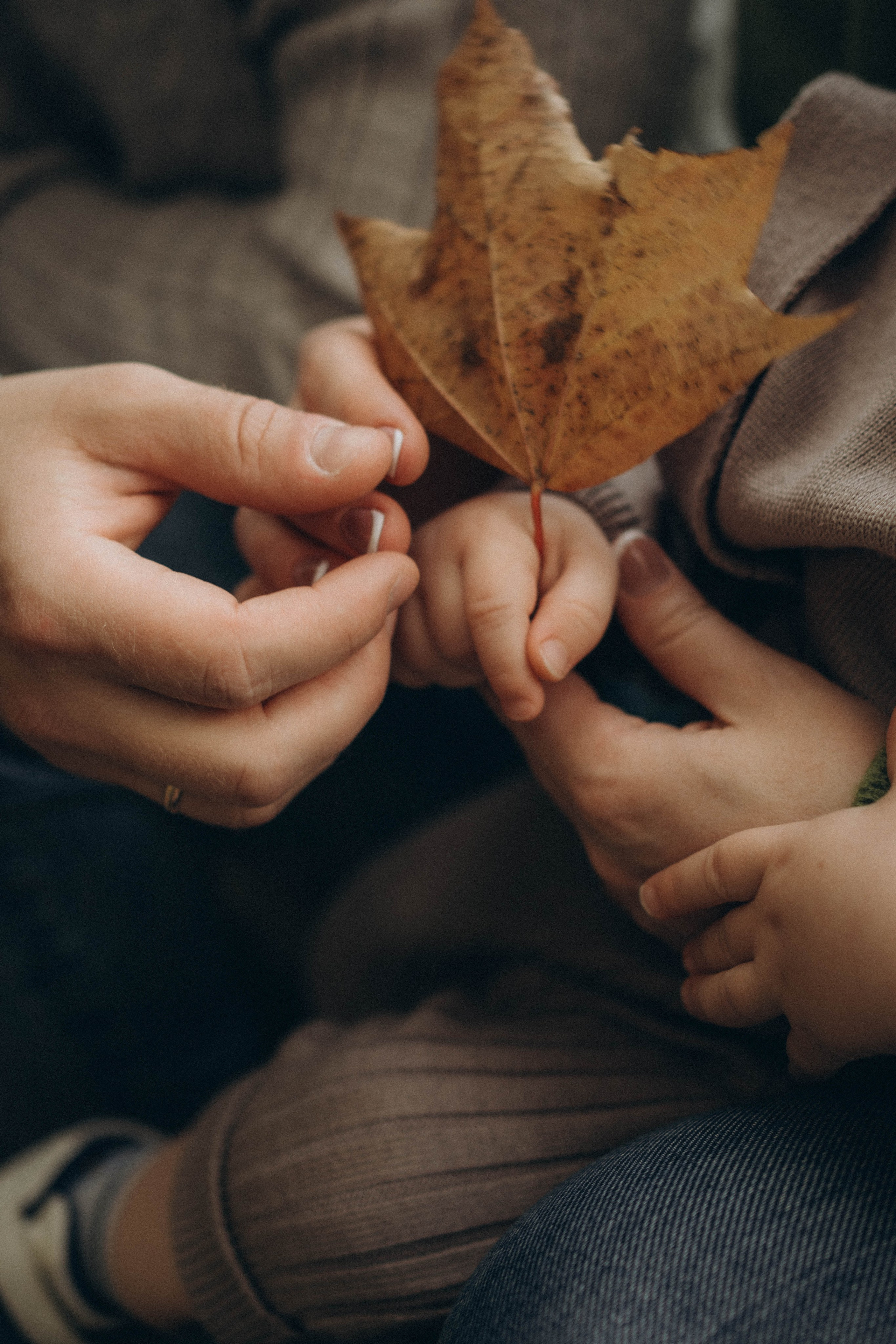 Семья Брюхановых. Портретный фотограф Дарья Бахматова | Нижний Новгород