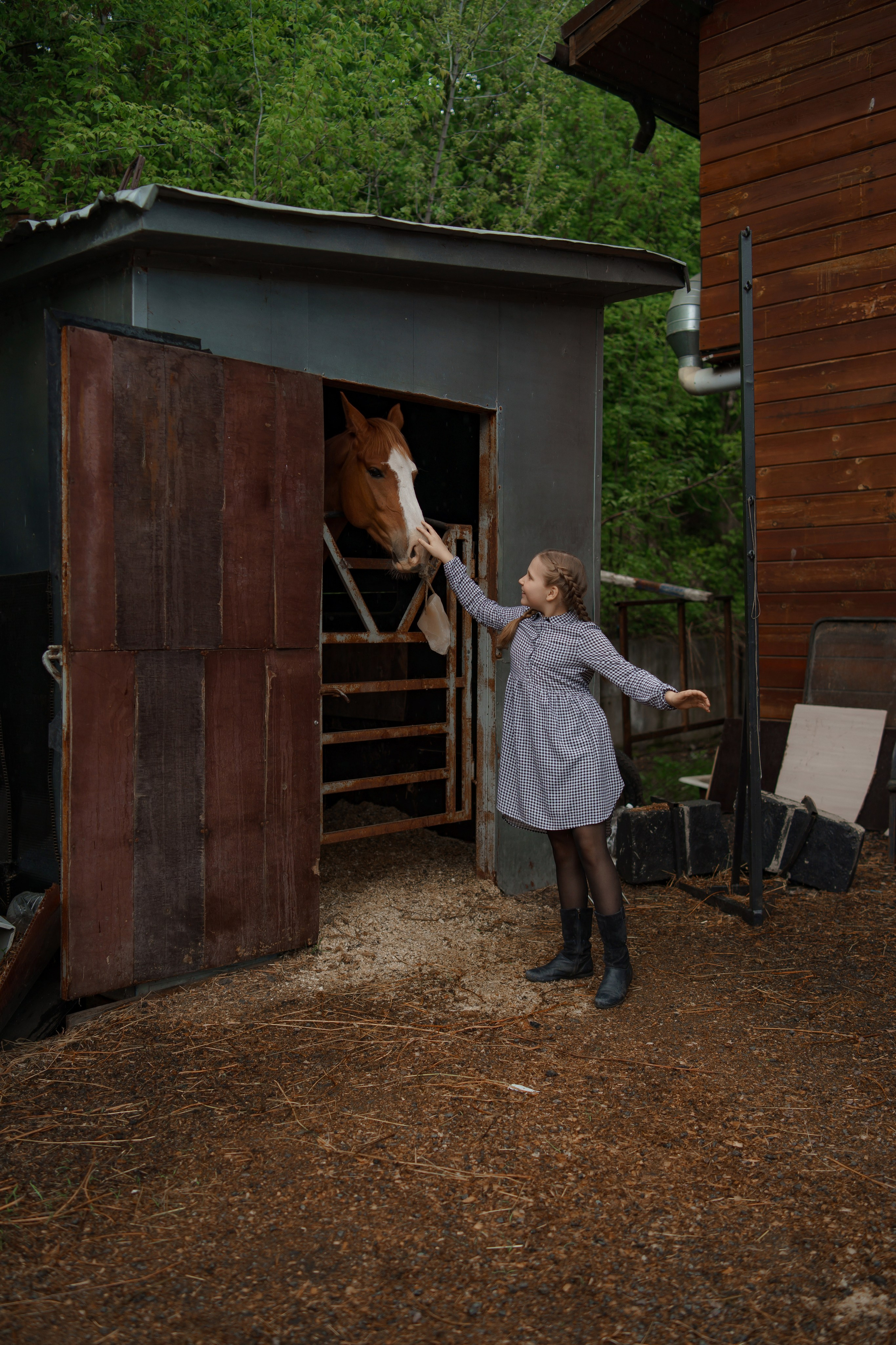 ФЕРМА. Фотограф Людмила Панюхина г. Нижний Новгород