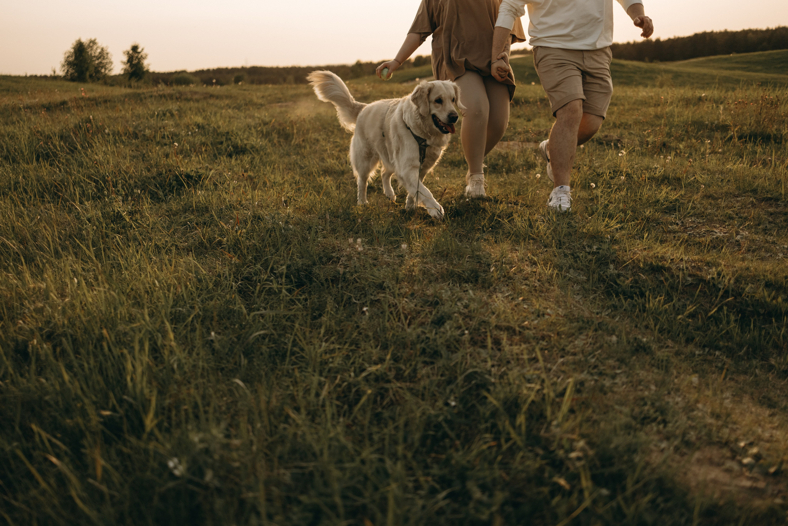 Милка и ребята. Фотограф — Анималист | Санкт-Петербург