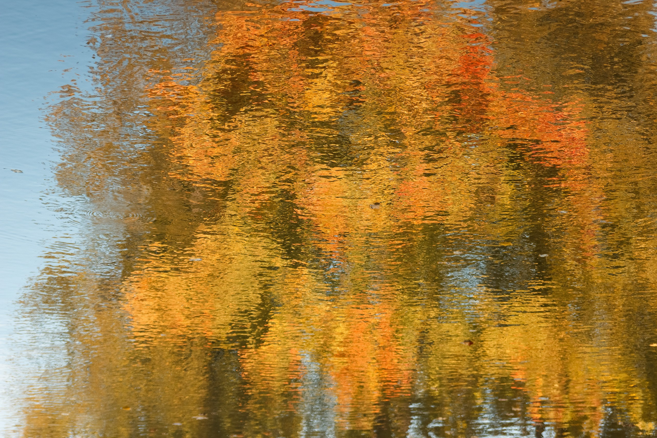 Никогда ни о чем не жалейте вдогонку. Аmat Victoria Сuram