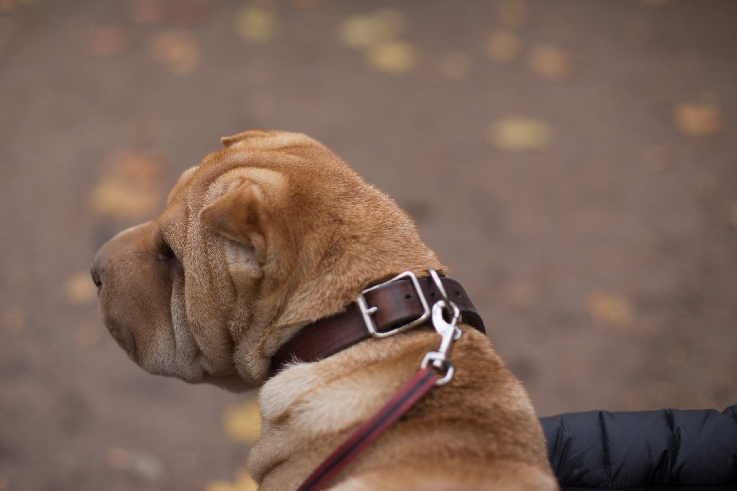 В парке. Фотограф Анастасия Малеева