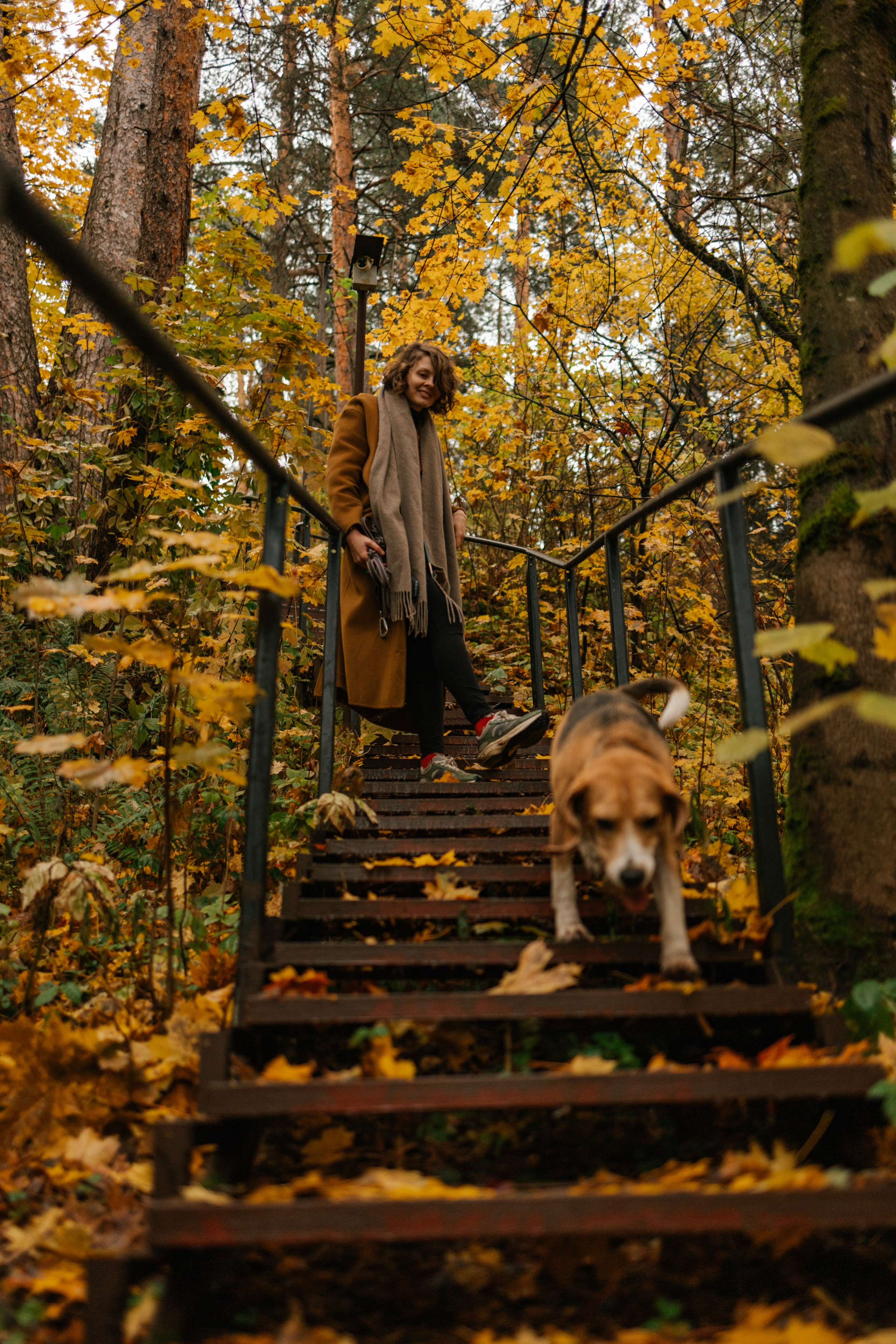 Лена и Тайгер. Фотограф — Анималист | Санкт-Петербург