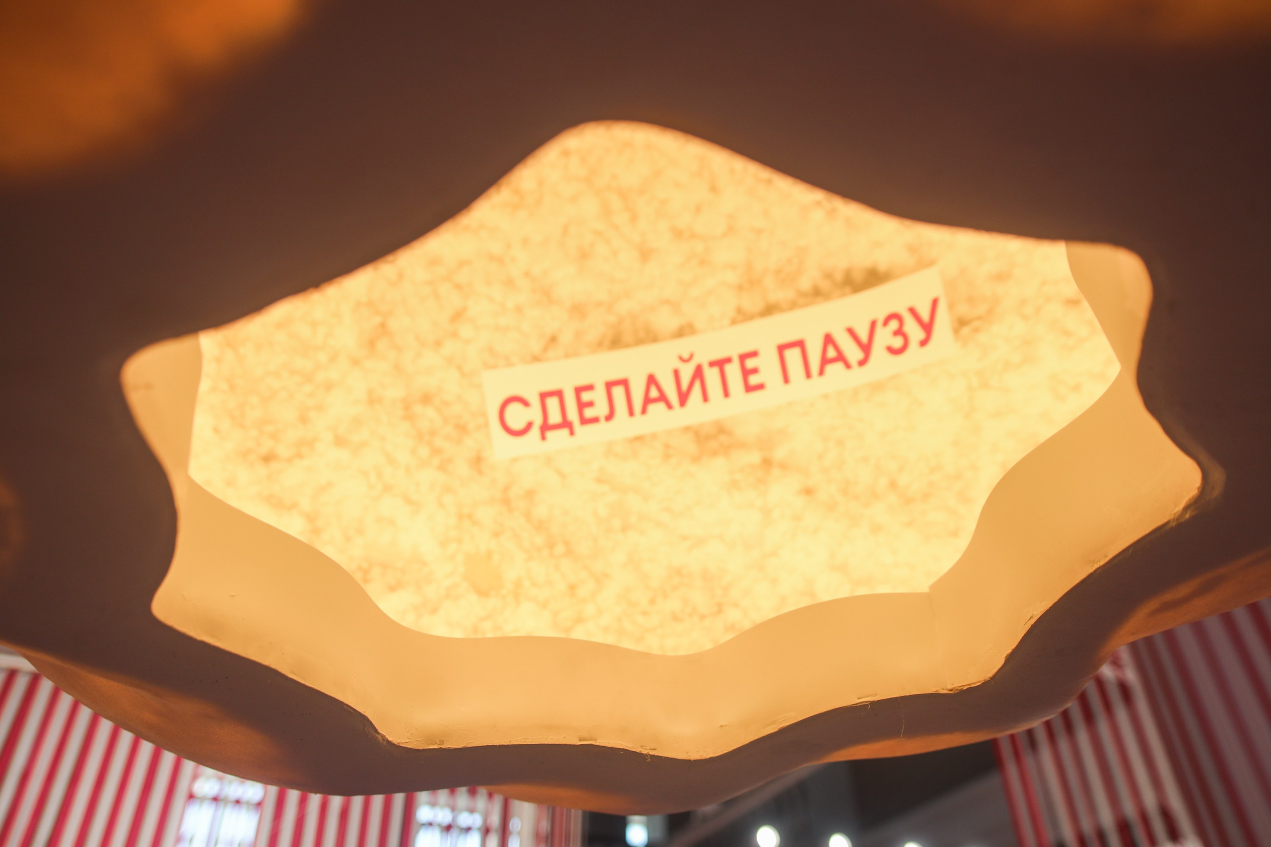 Самокат. Портретный фотограф в Красноярске Аня Медведева