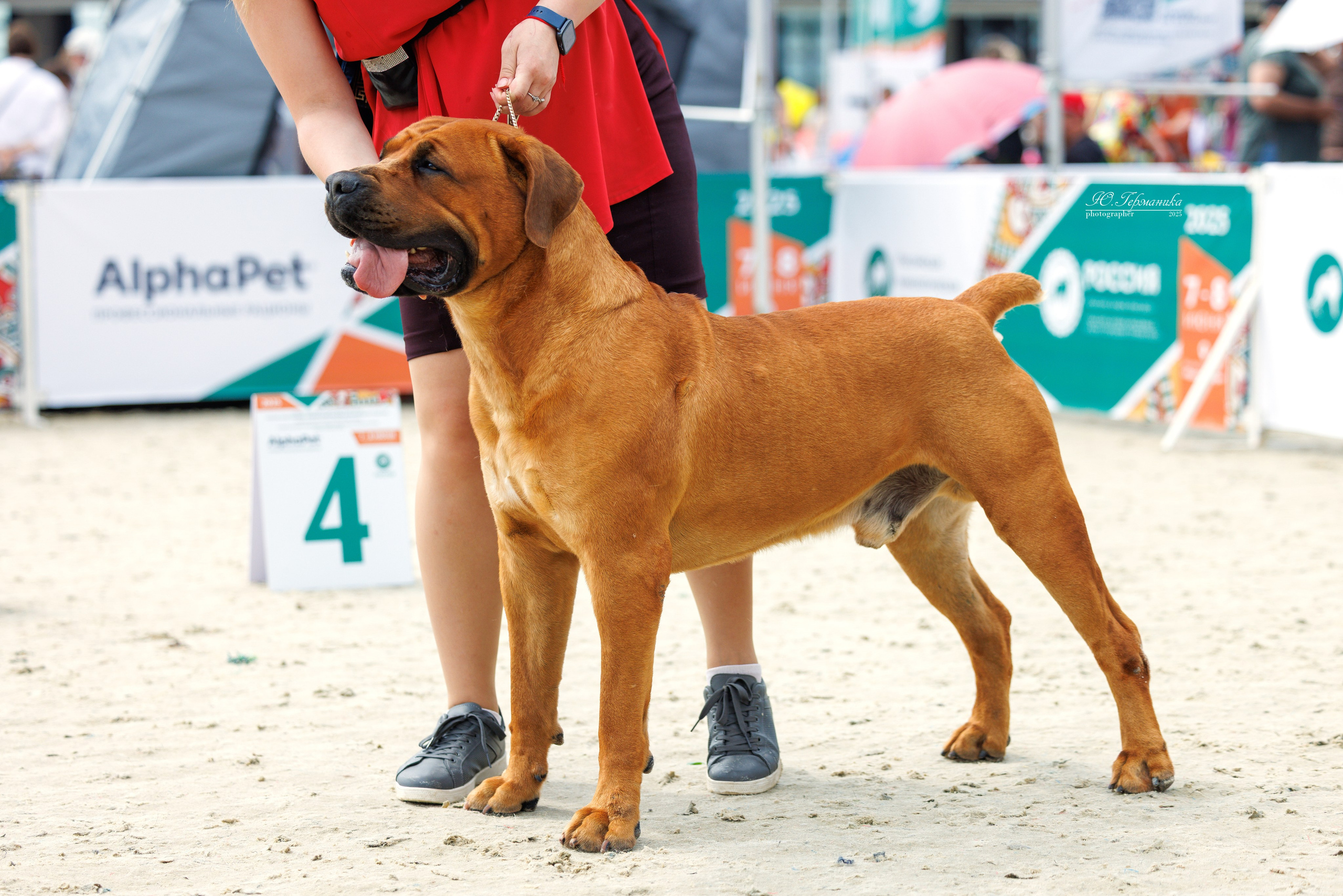 РОССИЯ 7-8.06.2025. Фотограф-анималист Юлия Германика