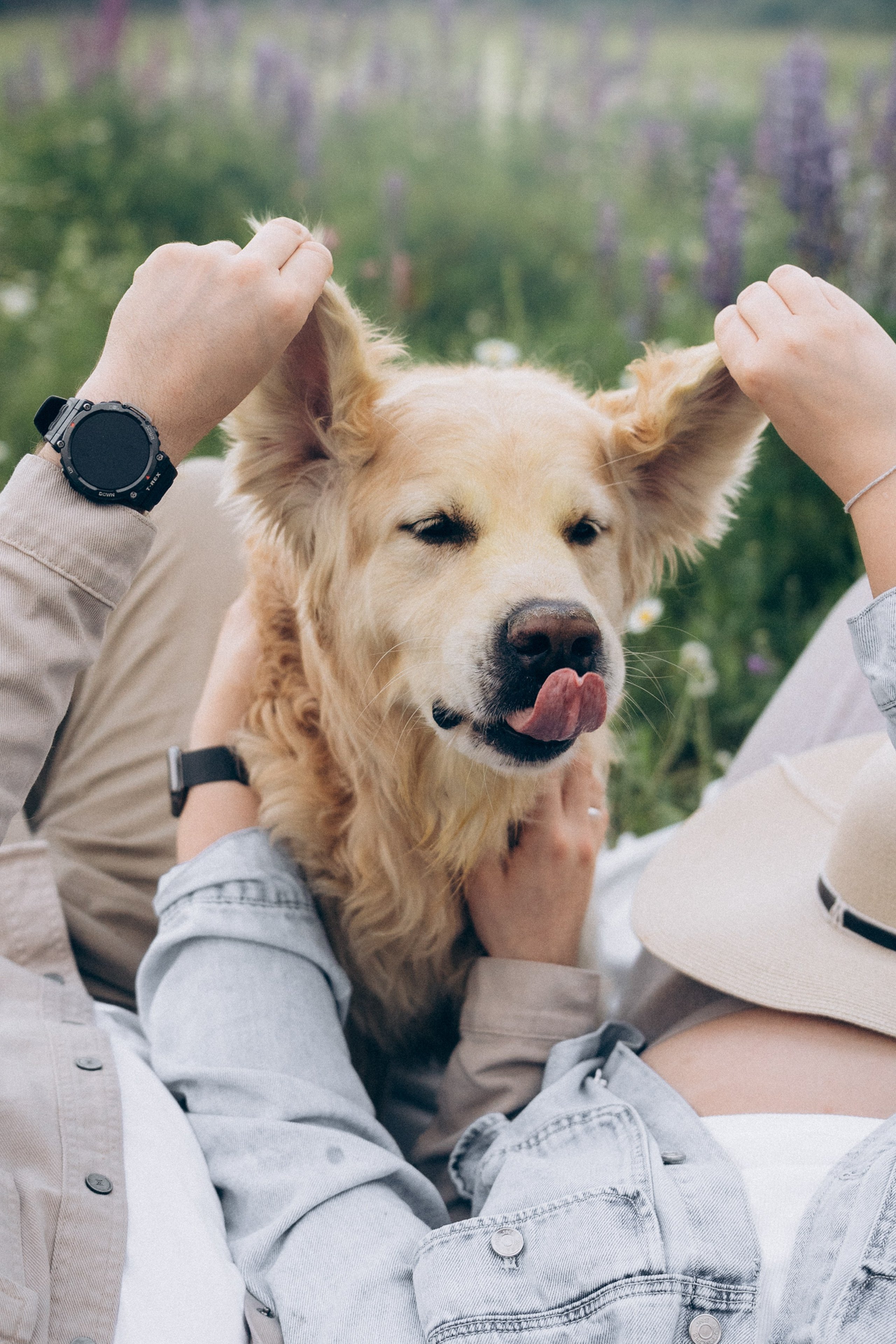 Кристина, Александр, Каролина, Владлен и Космос. Фотограф анималист в Москве и Санкт-Петербурге Свиридова Анна