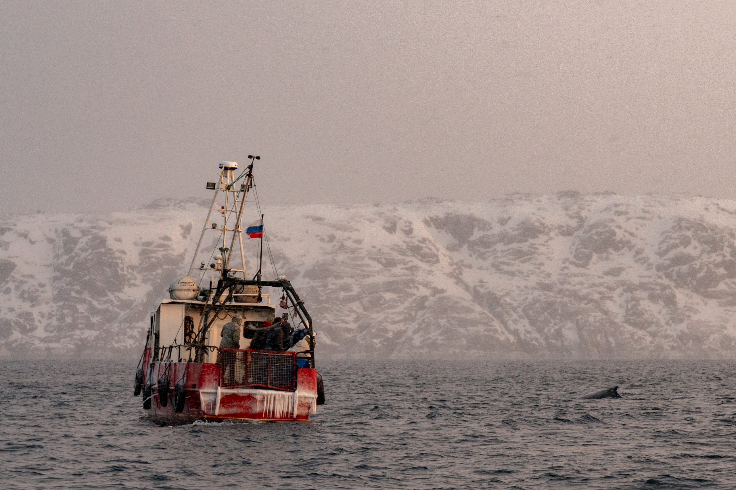 Зима на Кольском полуострове. Daria wanderer photography