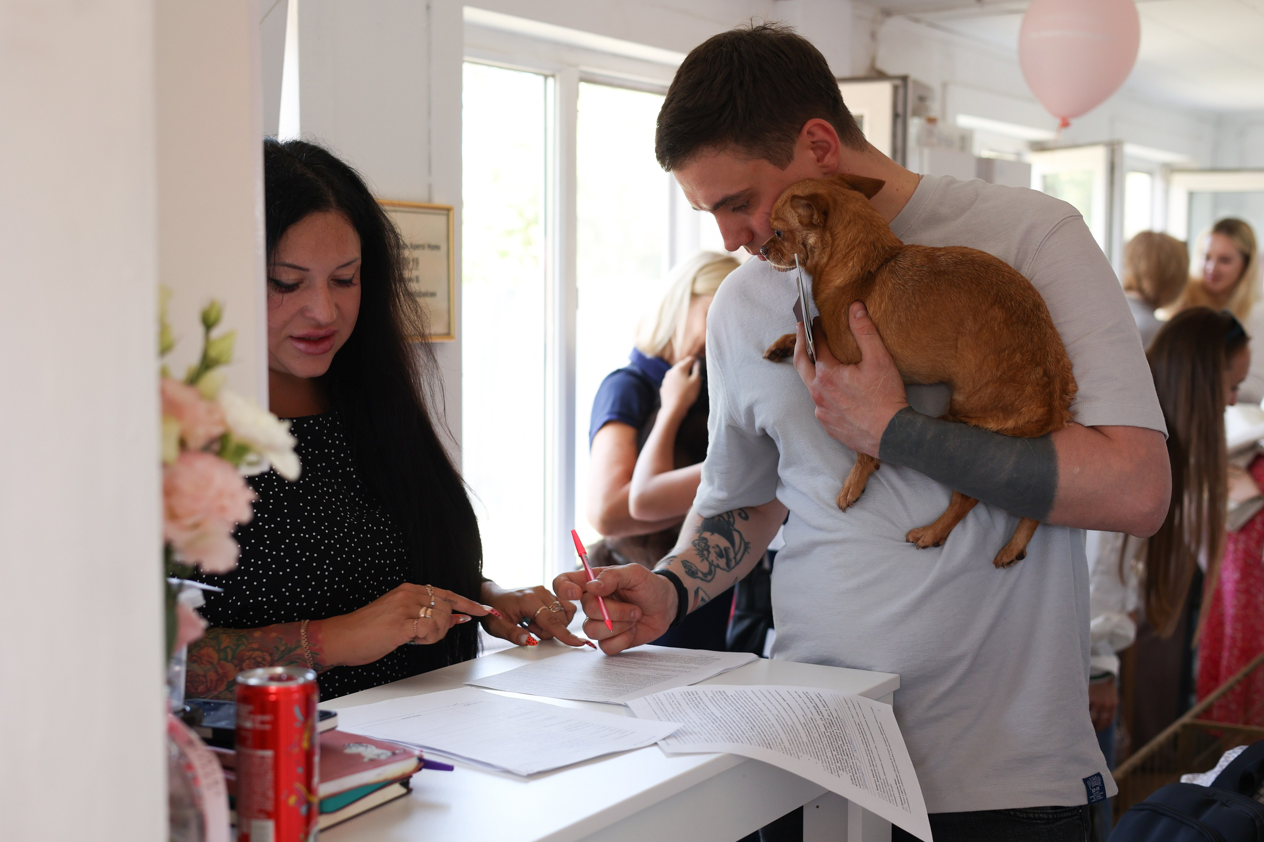 Апероль 1 годик. Фотограф Санкт-Петербург