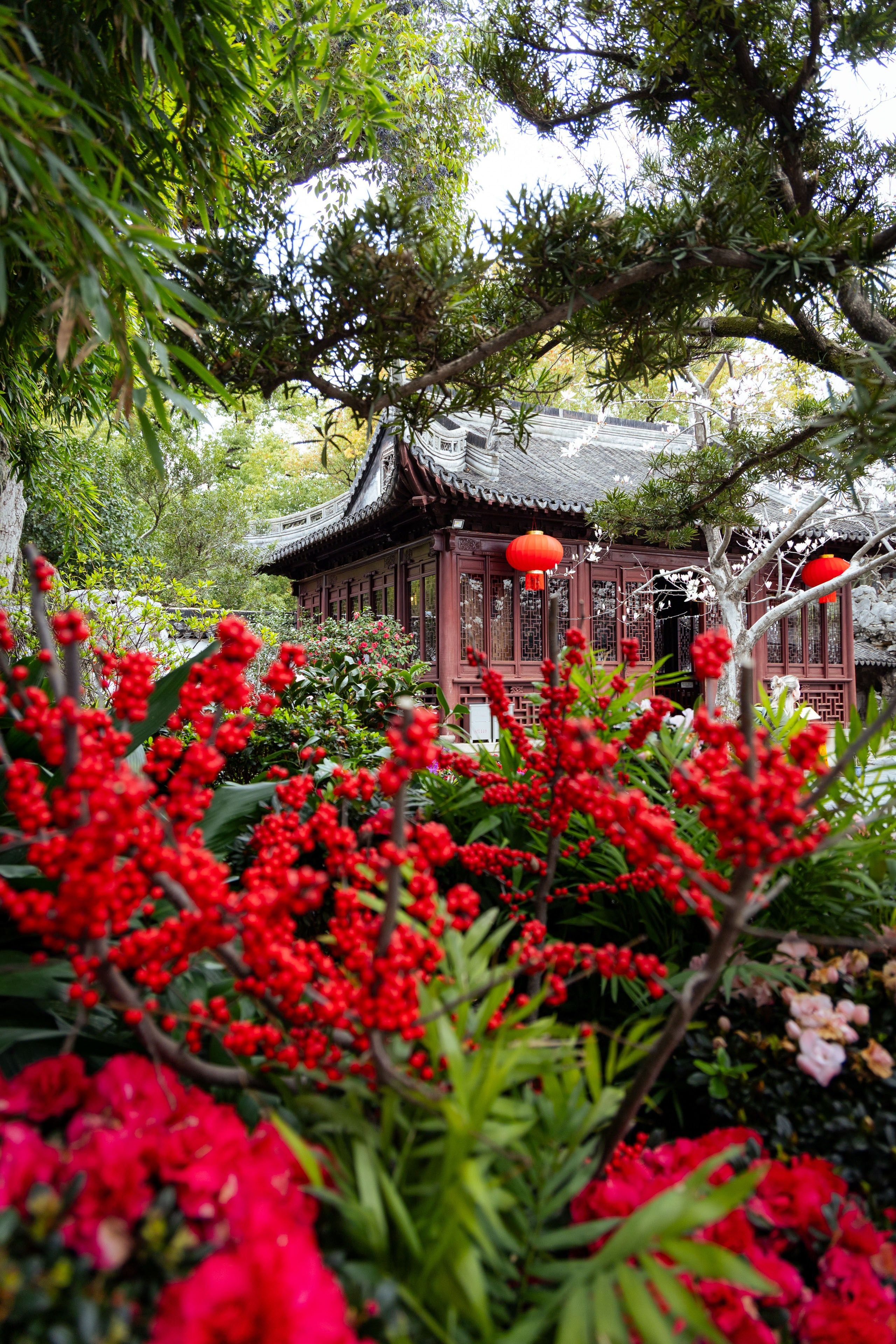 Шанхай (март 2026). Фотограф Виноградов Константин