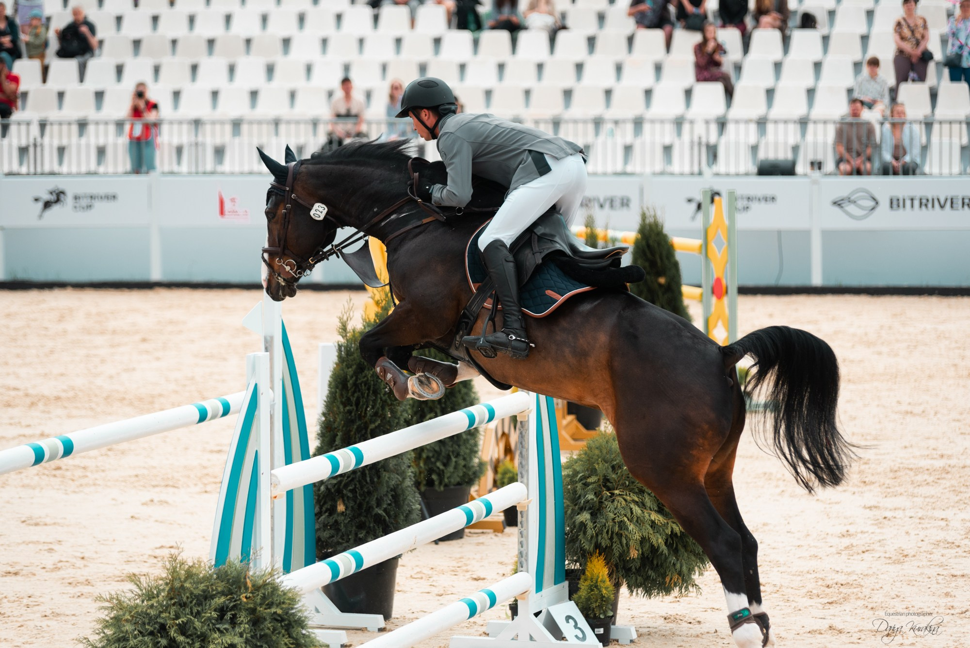 BITRIVER CUP 2023. Конный фотограф Куракина Дарья • Фотосессии с лошадьми