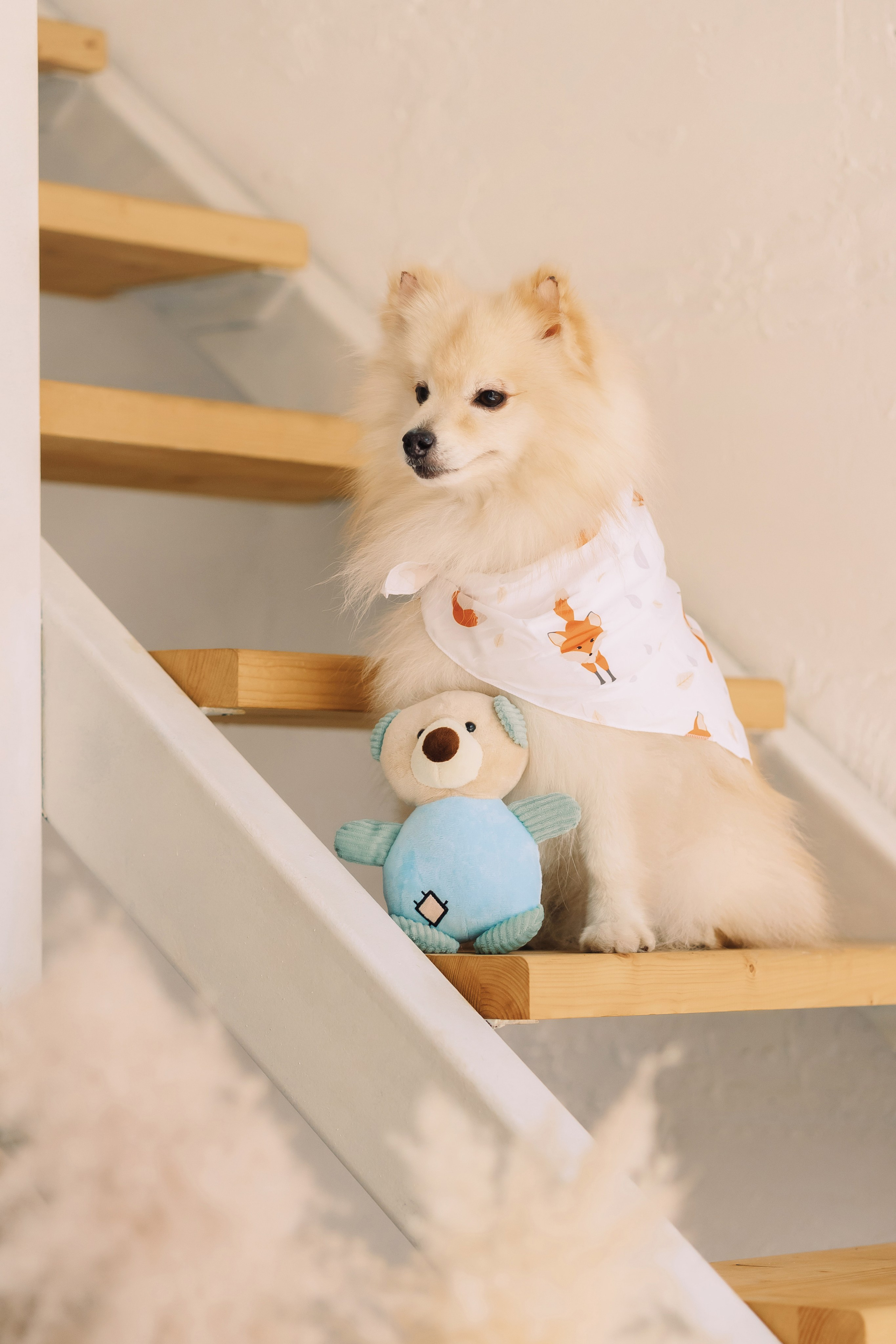 Магазин Friend of mine. Фотограф-анималист Елена Радченко, Москва